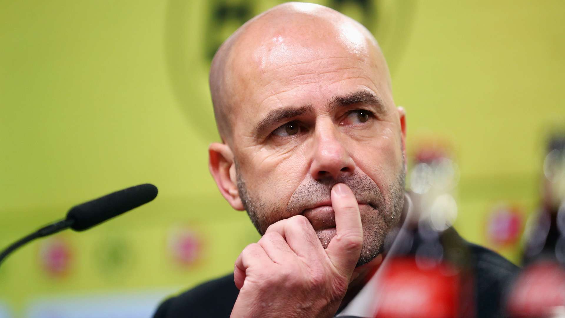 Peter Bosz Borussia Dortmund
