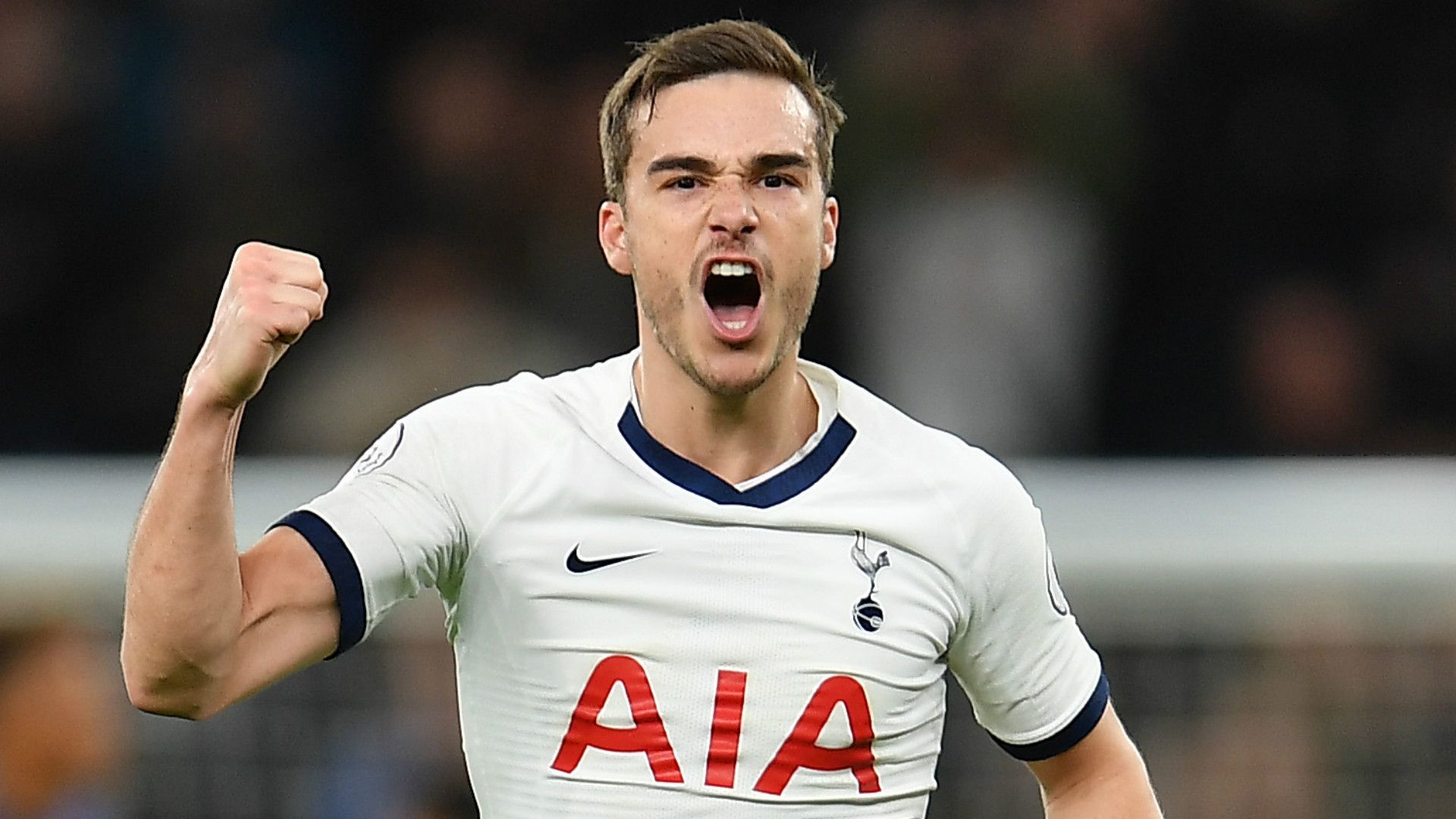 Harry Winks Tottenham 2019-20