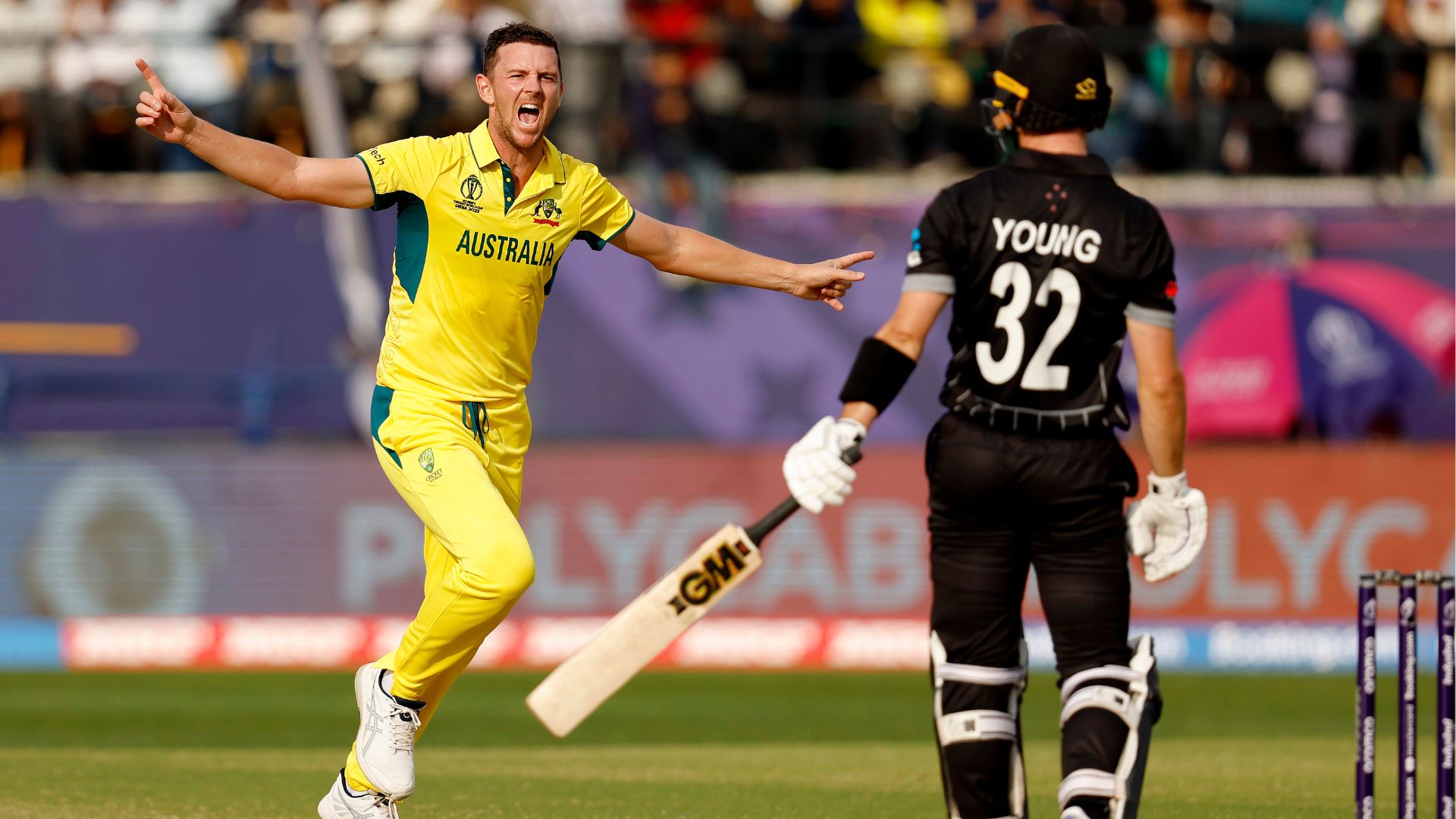Australia vs New Zealand Cricket world cup
