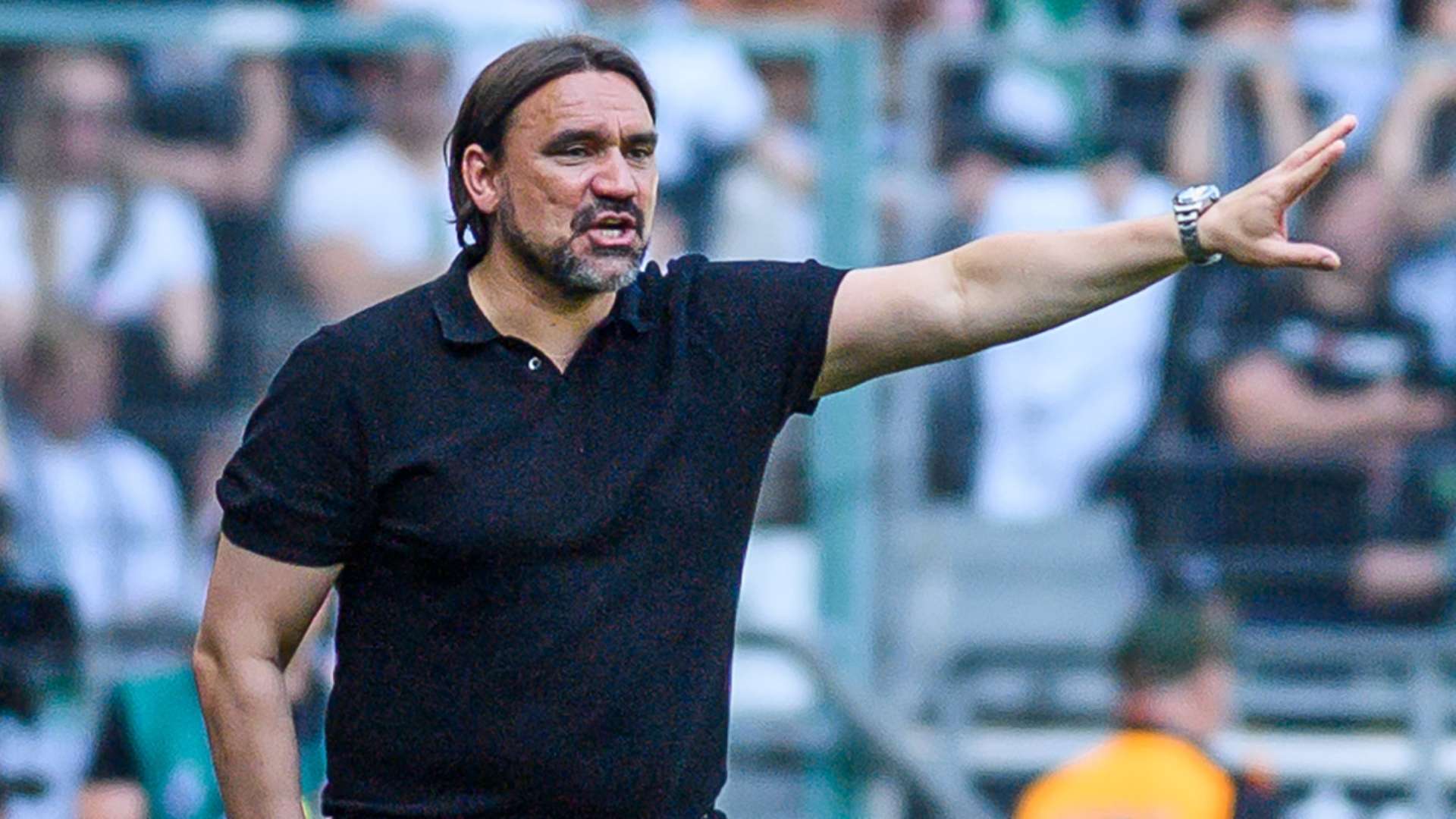 Daniel Farke Borussia MG 05272023