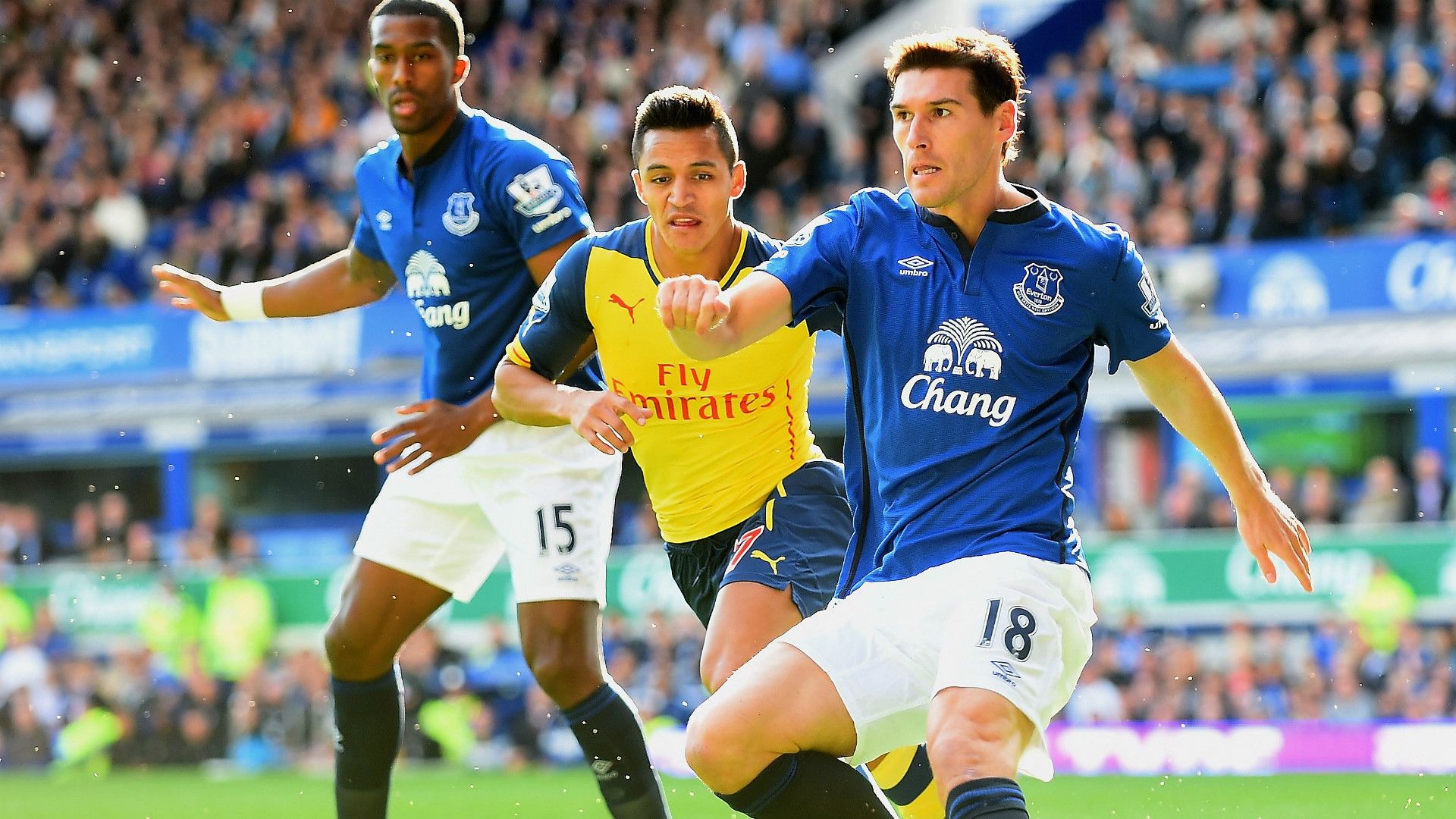 Gareth Barry Everton Arsenal Premier League 23082014