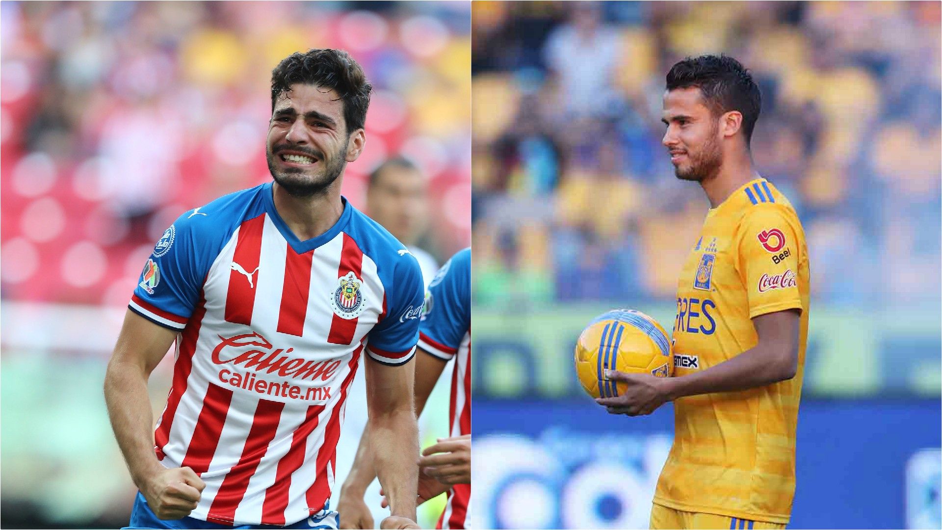 Pollo Briseño Diego Reyes