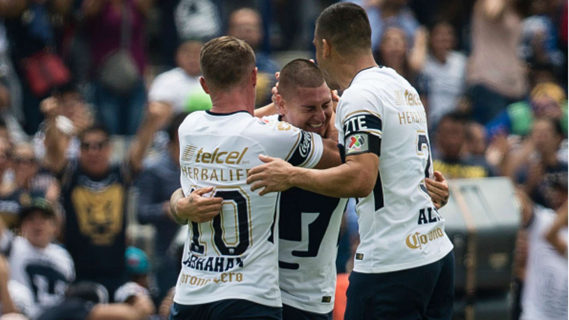 Pumas