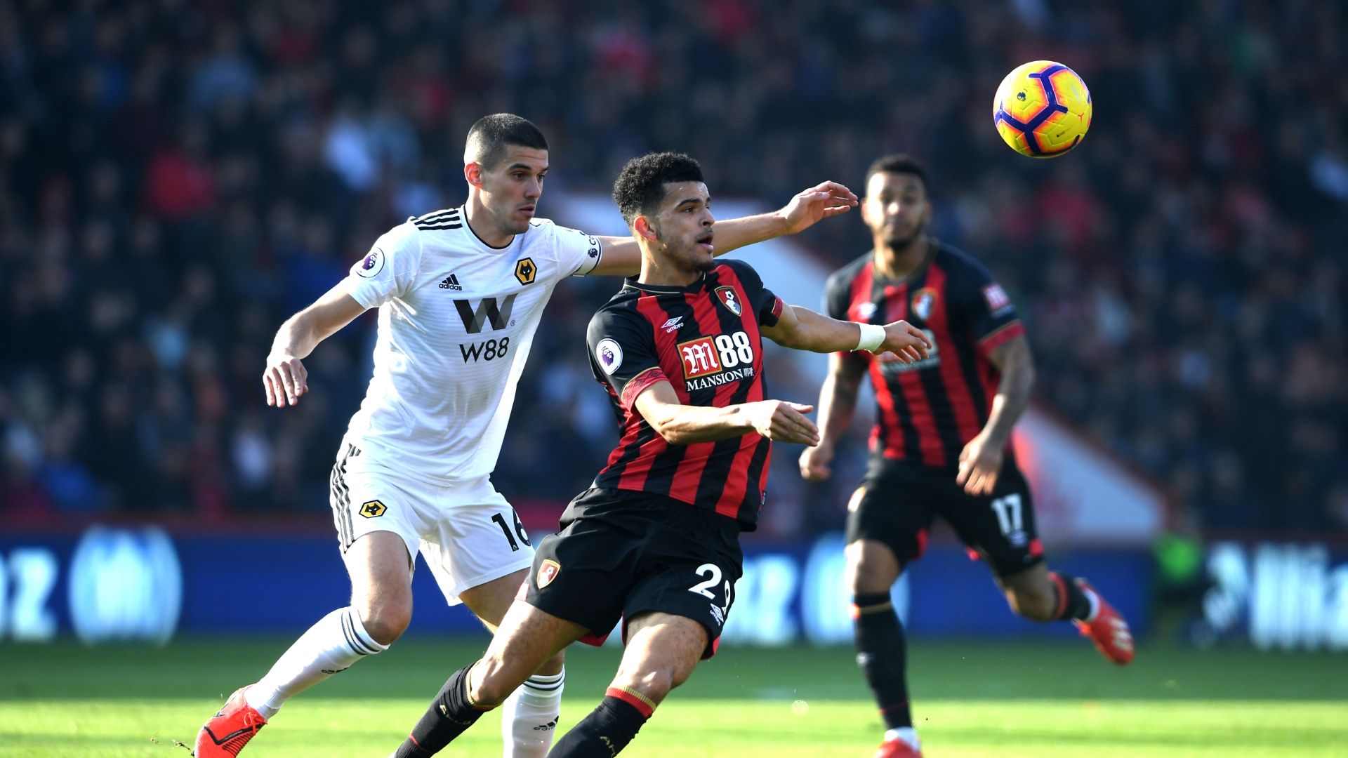Dominic Solanke Bournemouth