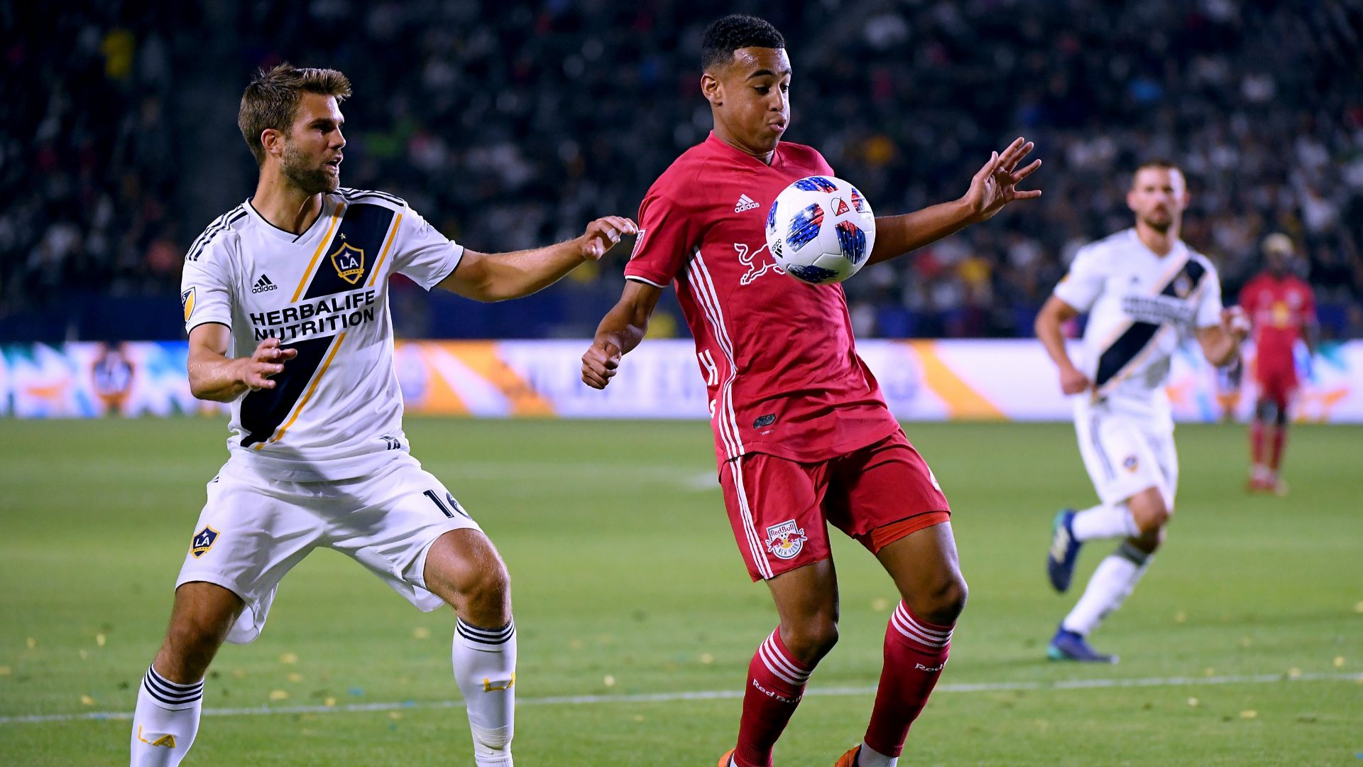 Tyler Adams New York Red Bulls