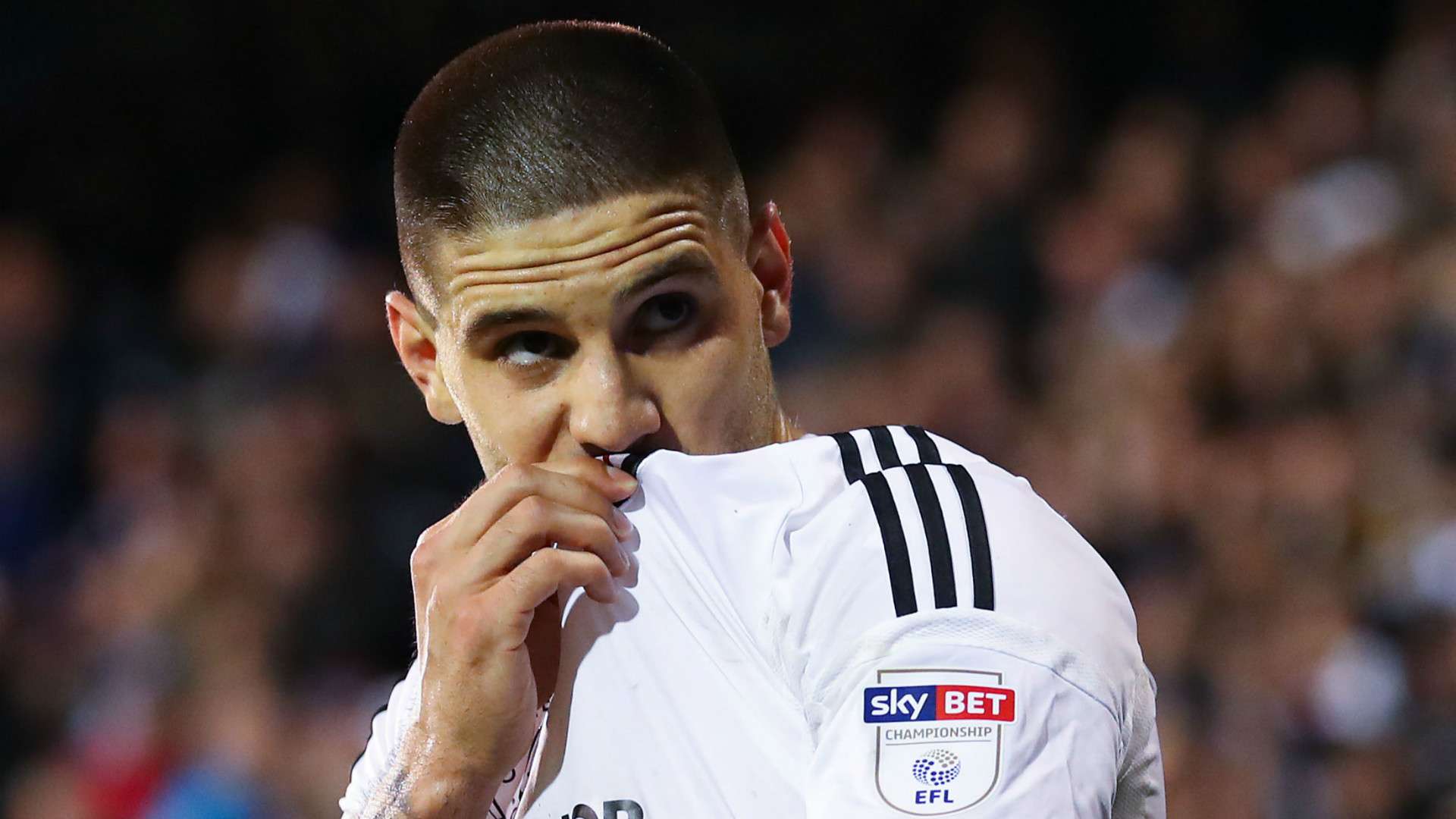 Aleksandar Mitrovic Fulham