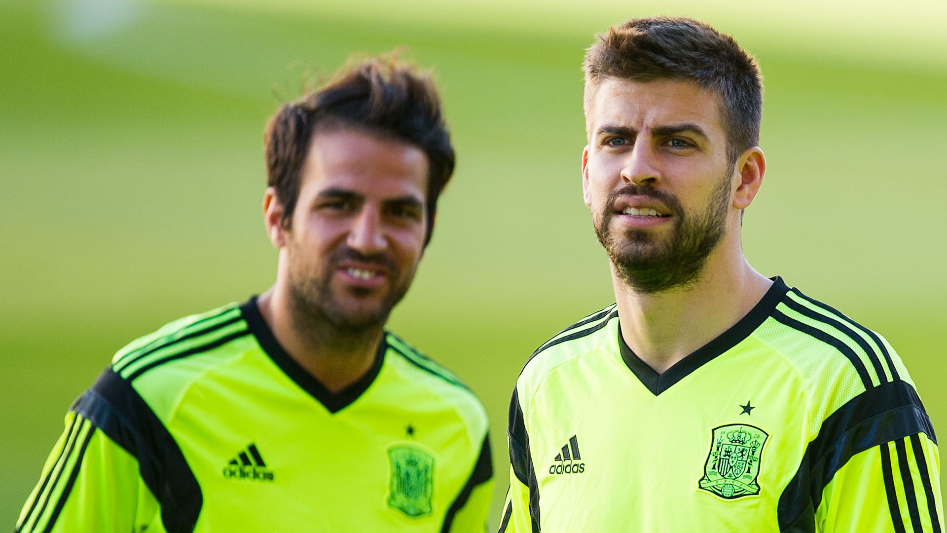 Cesc Fabregas Gerard Pique Spanien 05.29.2014