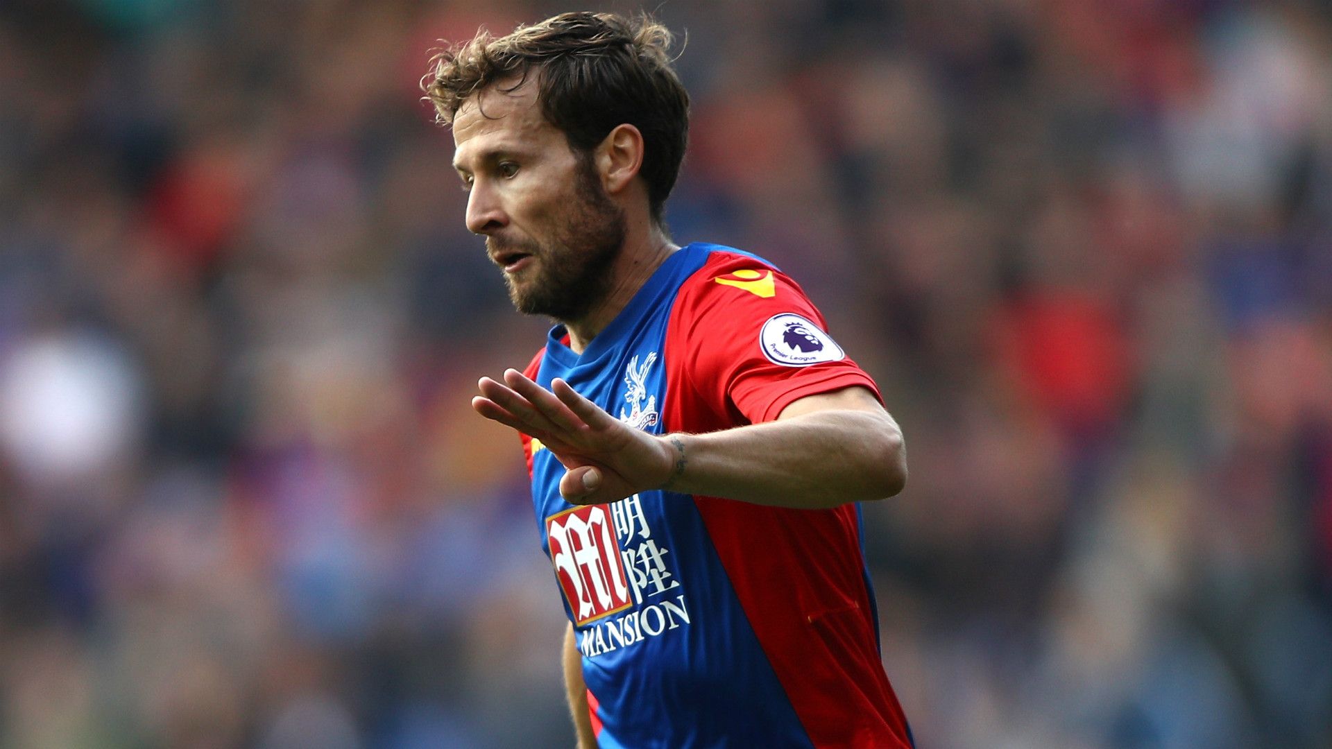 Yohan Cabaye Crystal Palace Premier League