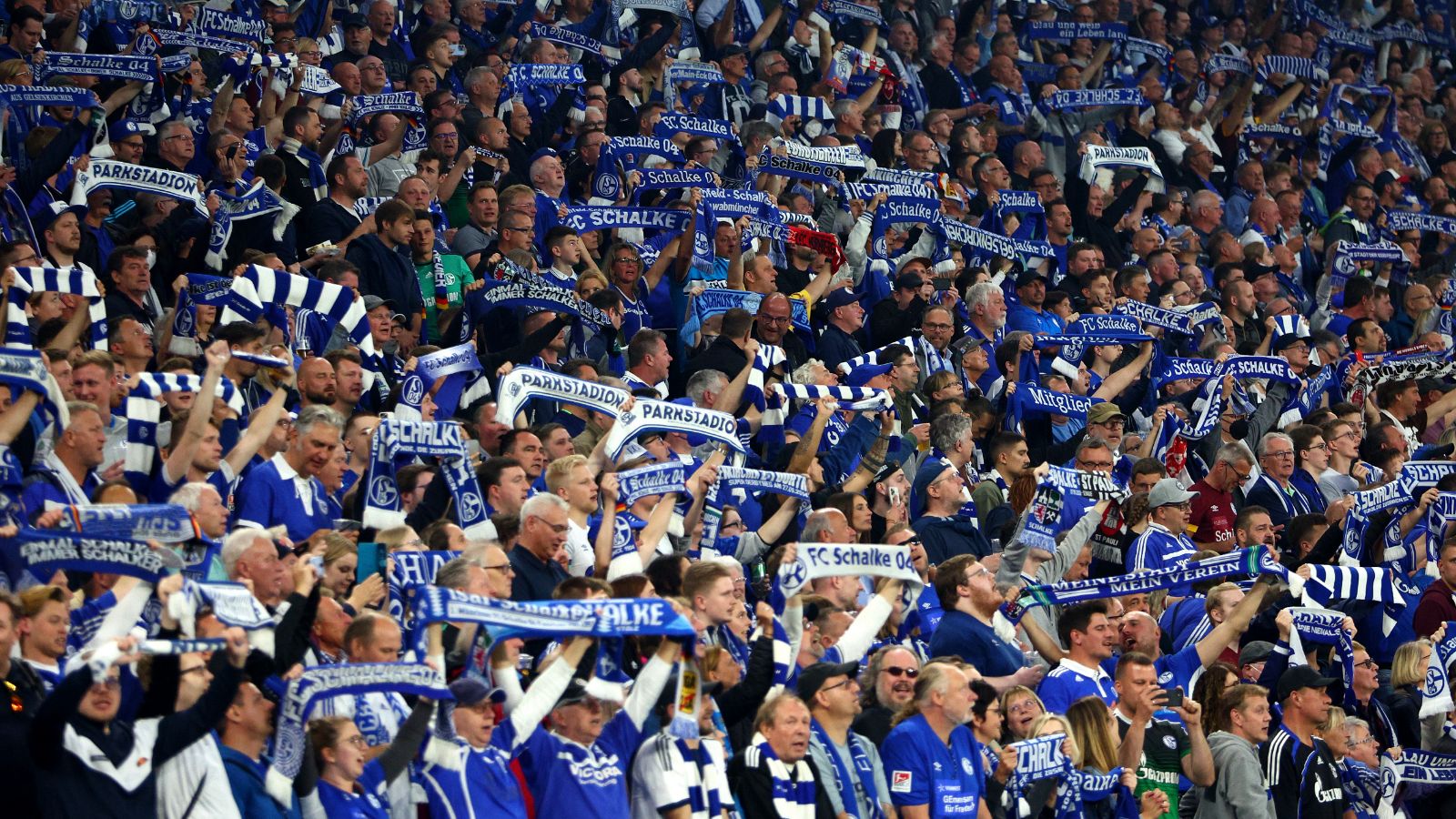 Schalke fans 