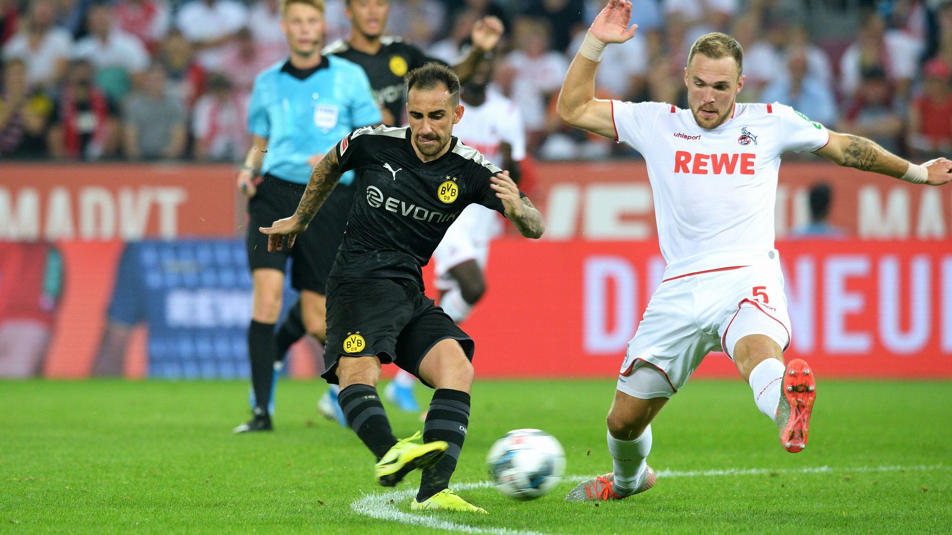Borussia Dortmund BVB Köln Paco Alcacer