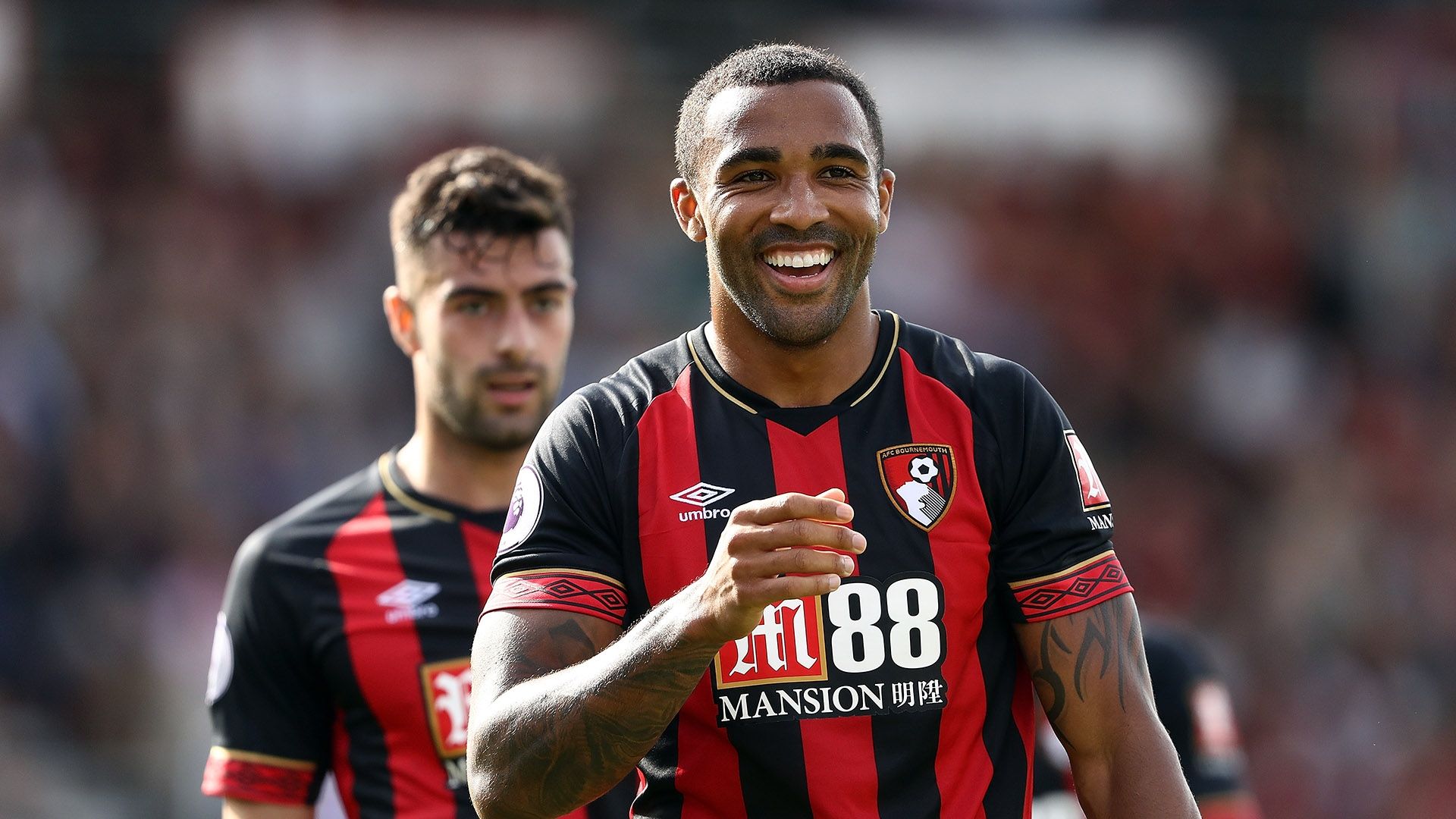 Callum Wilson Bournemouth Premier League