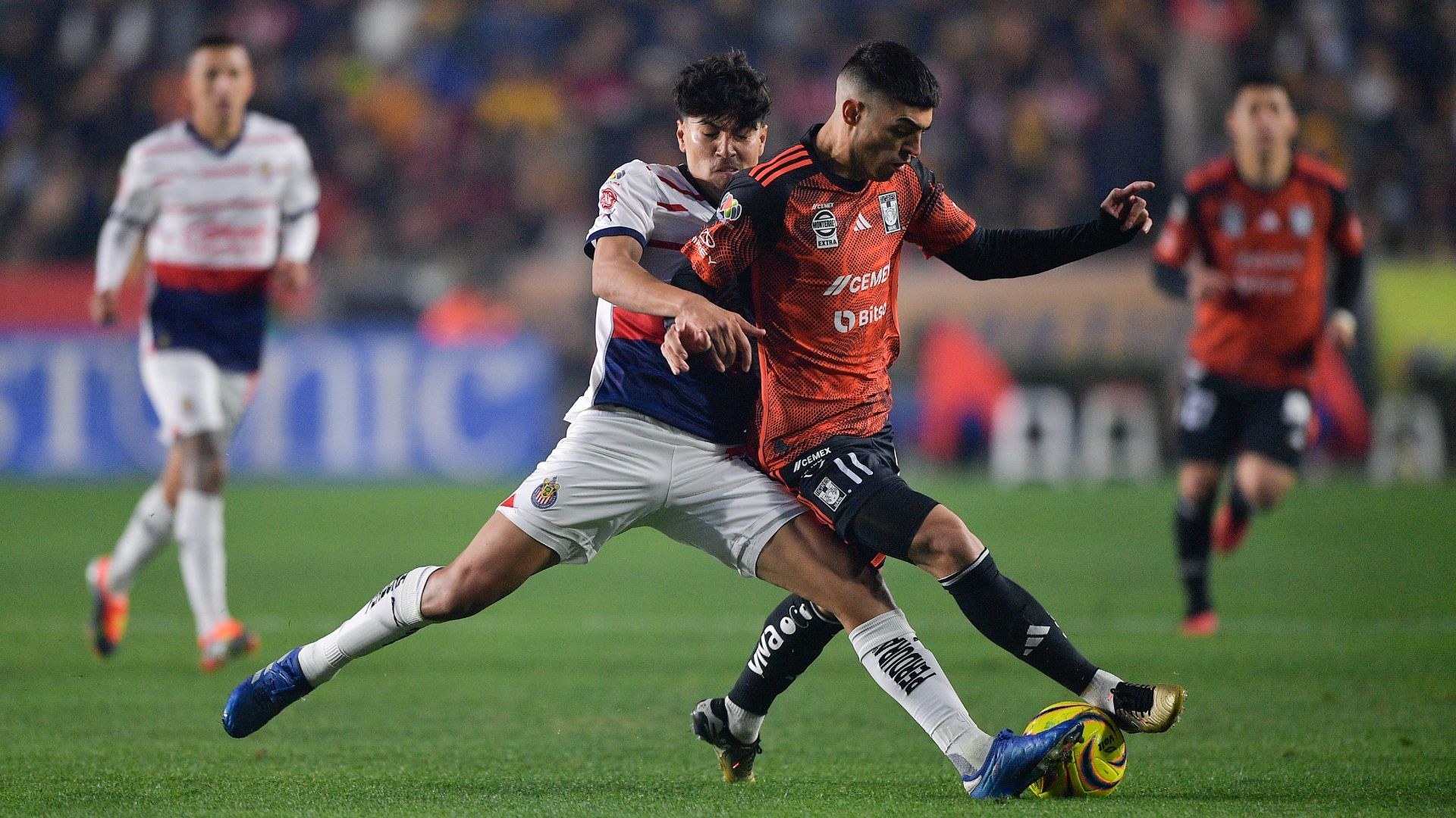 Tigres Chivas Clausura 2024 Liga MX