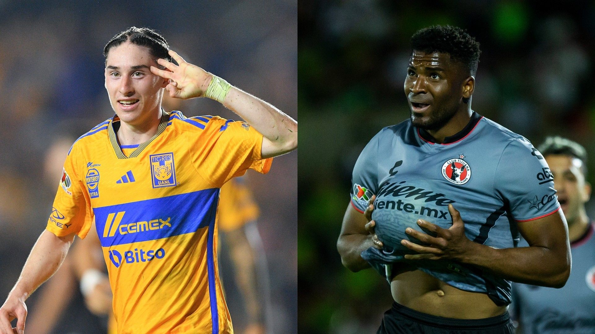 Tigres Tijuana Clausura 2024