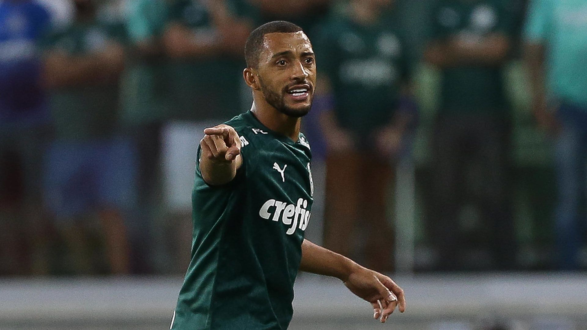 Vitor Hugo Palmeiras