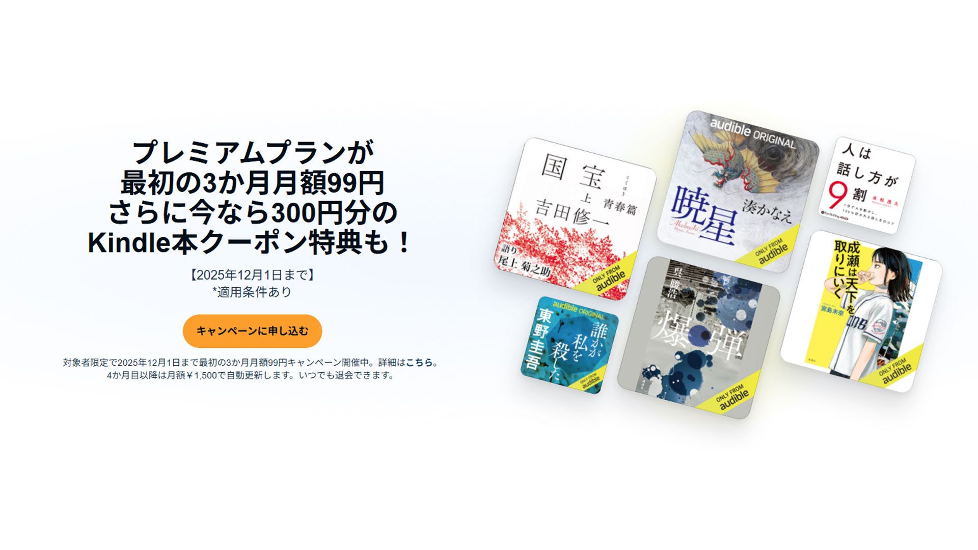 Audible 2025 blackfriday 2