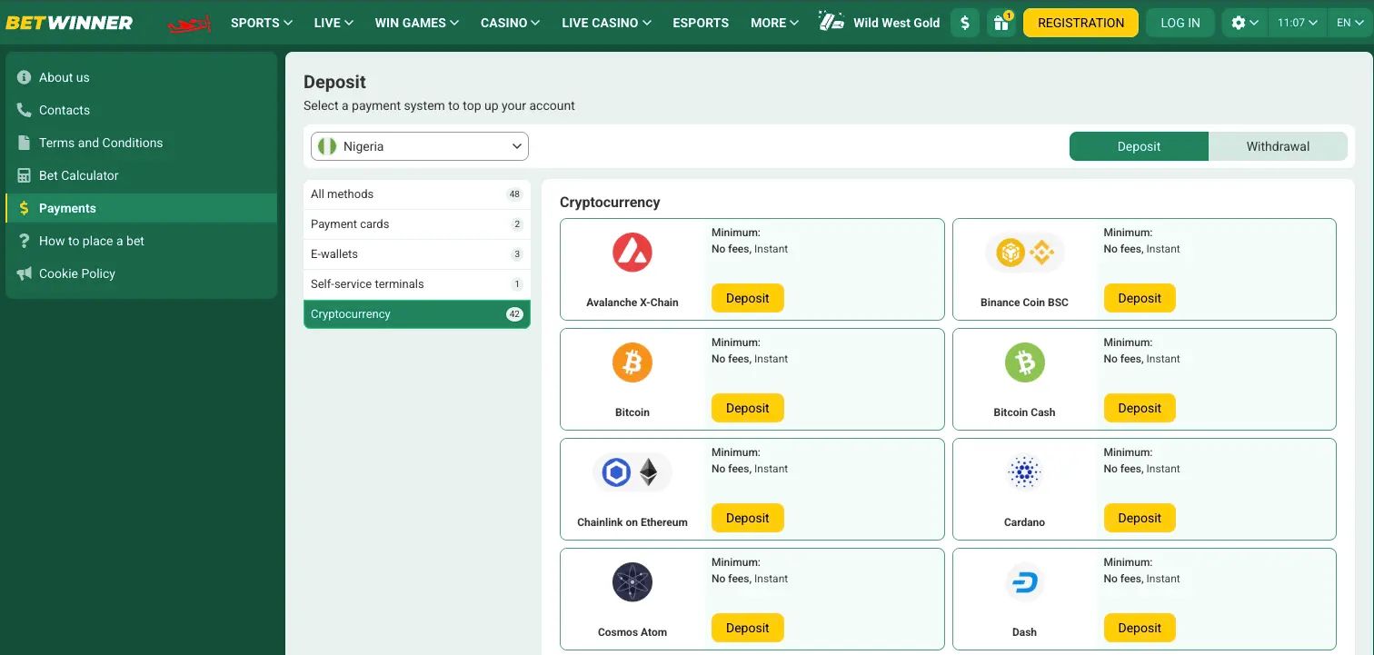 BetWinner Crypto