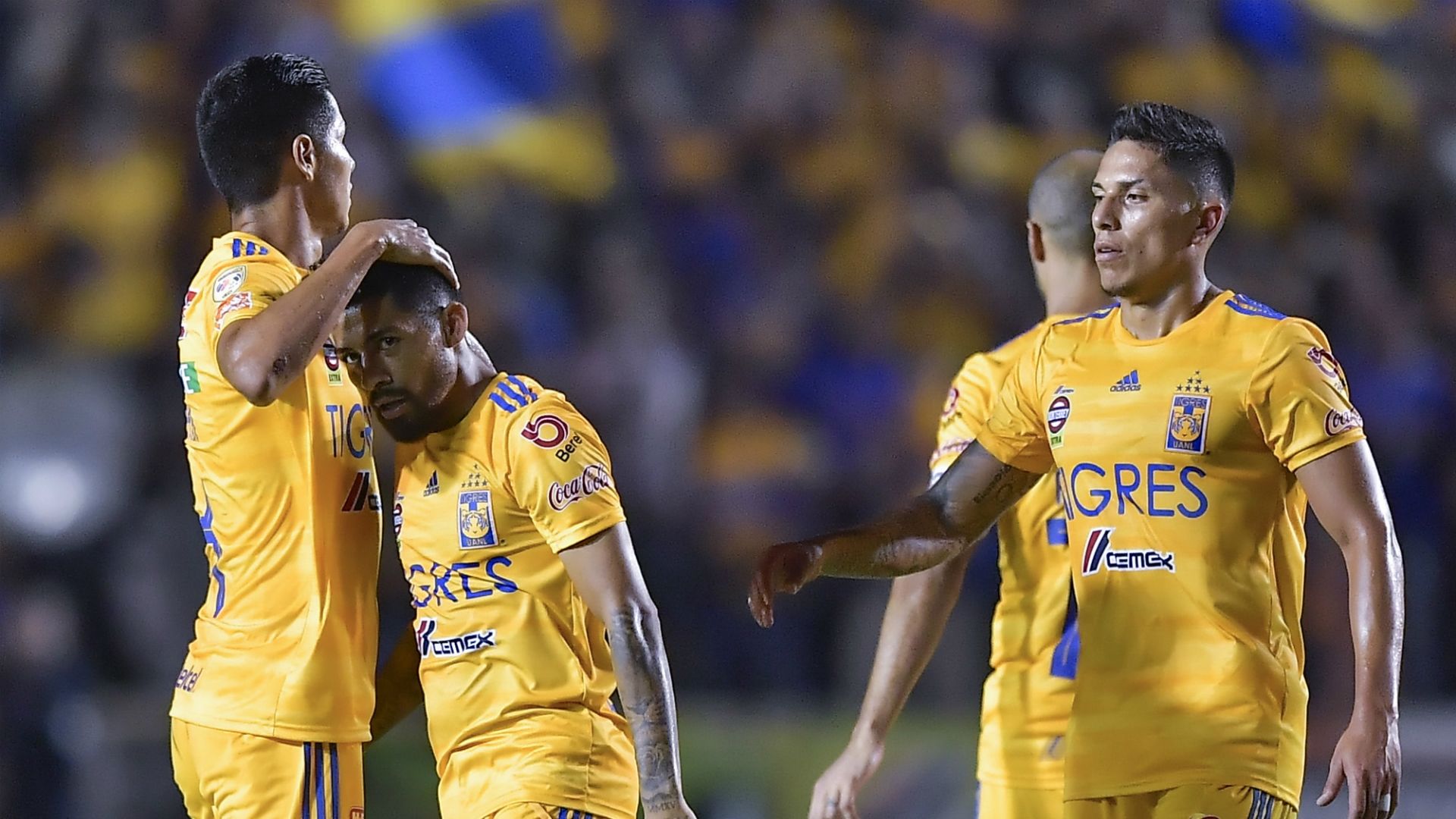 Tigres