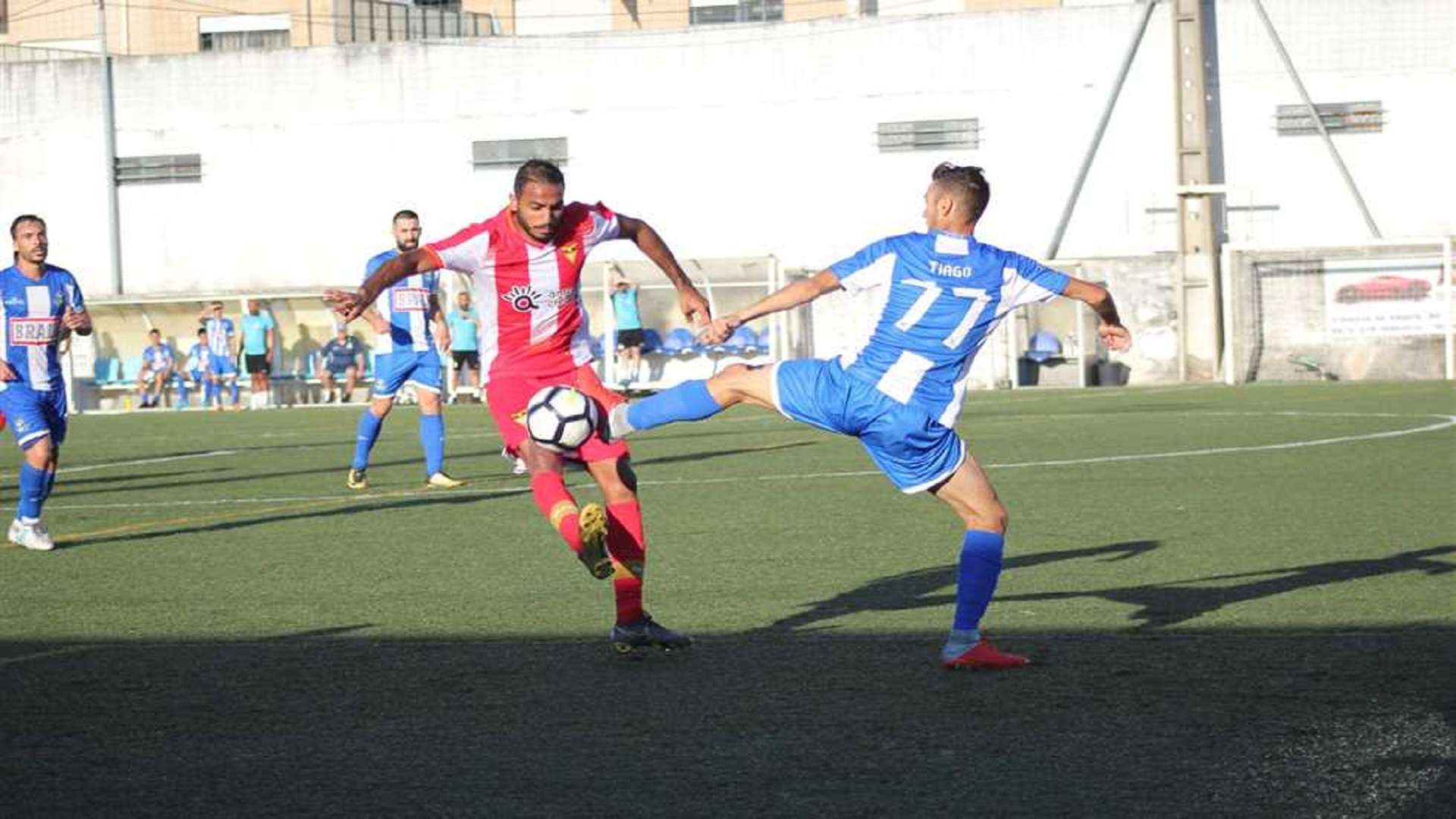 محمود كهربا