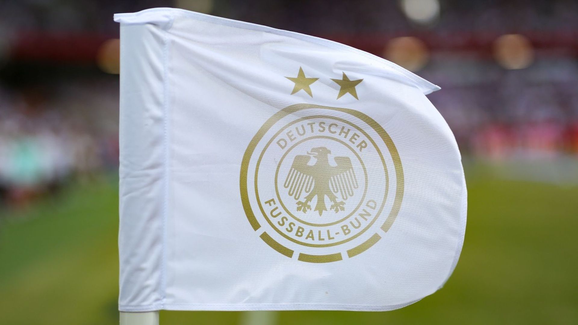 DFB Logo