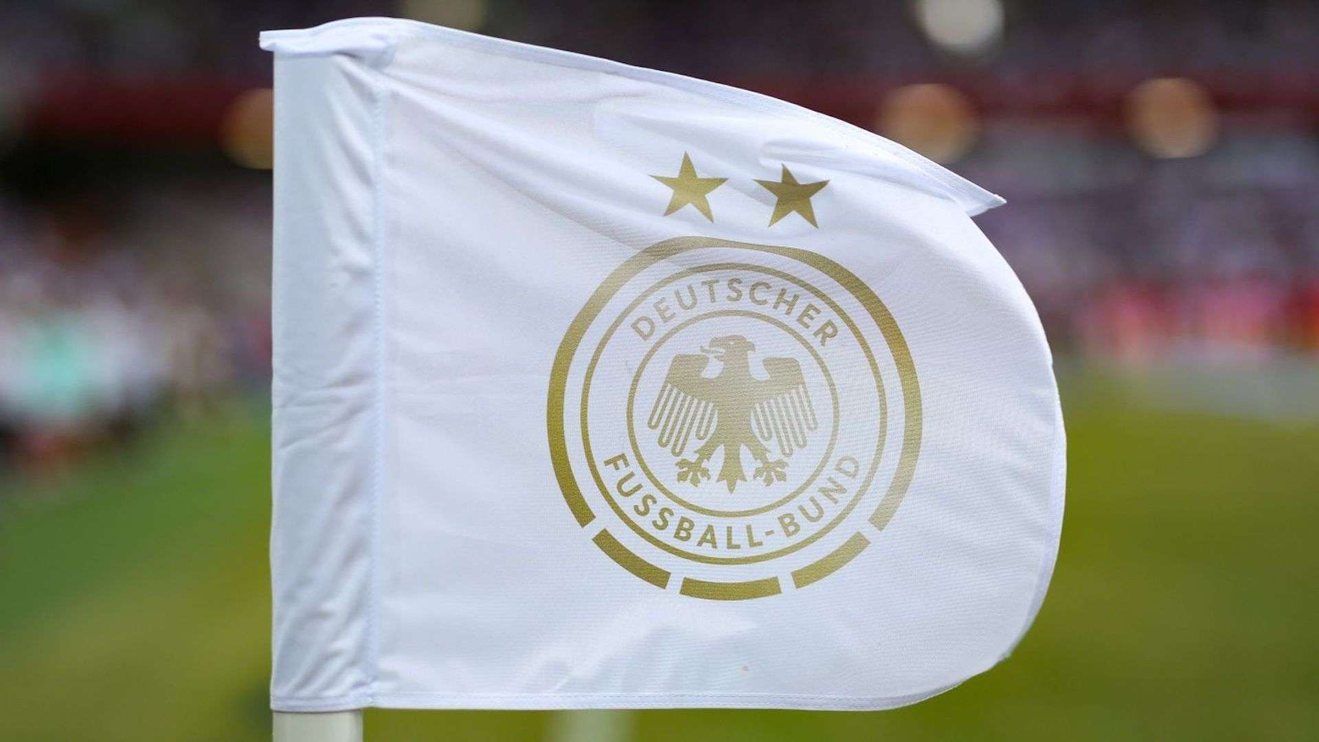 DFB Logo