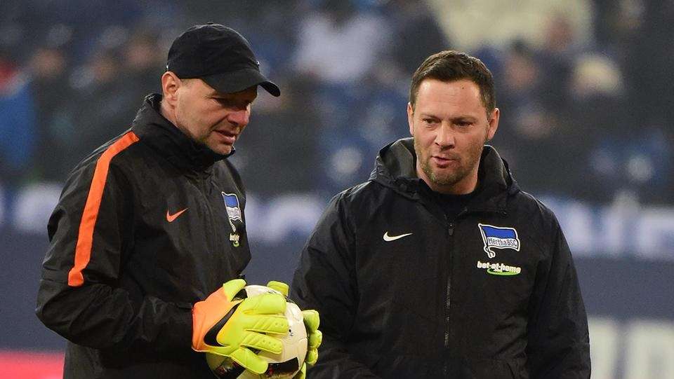 Petry Zsolt Dárdai Pál