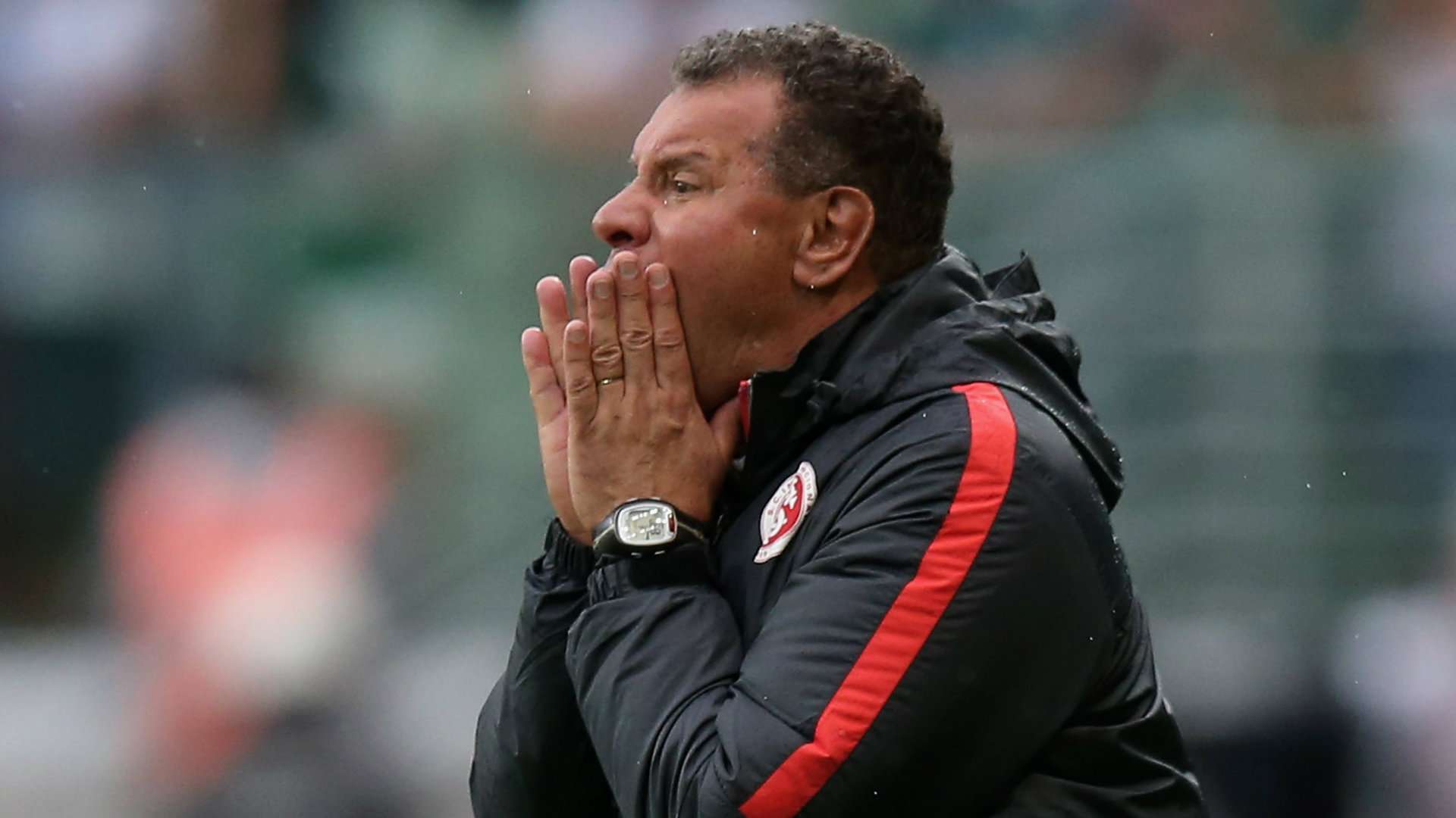 Celso Roth Palmeiras Internacional Brasileirão 06112016