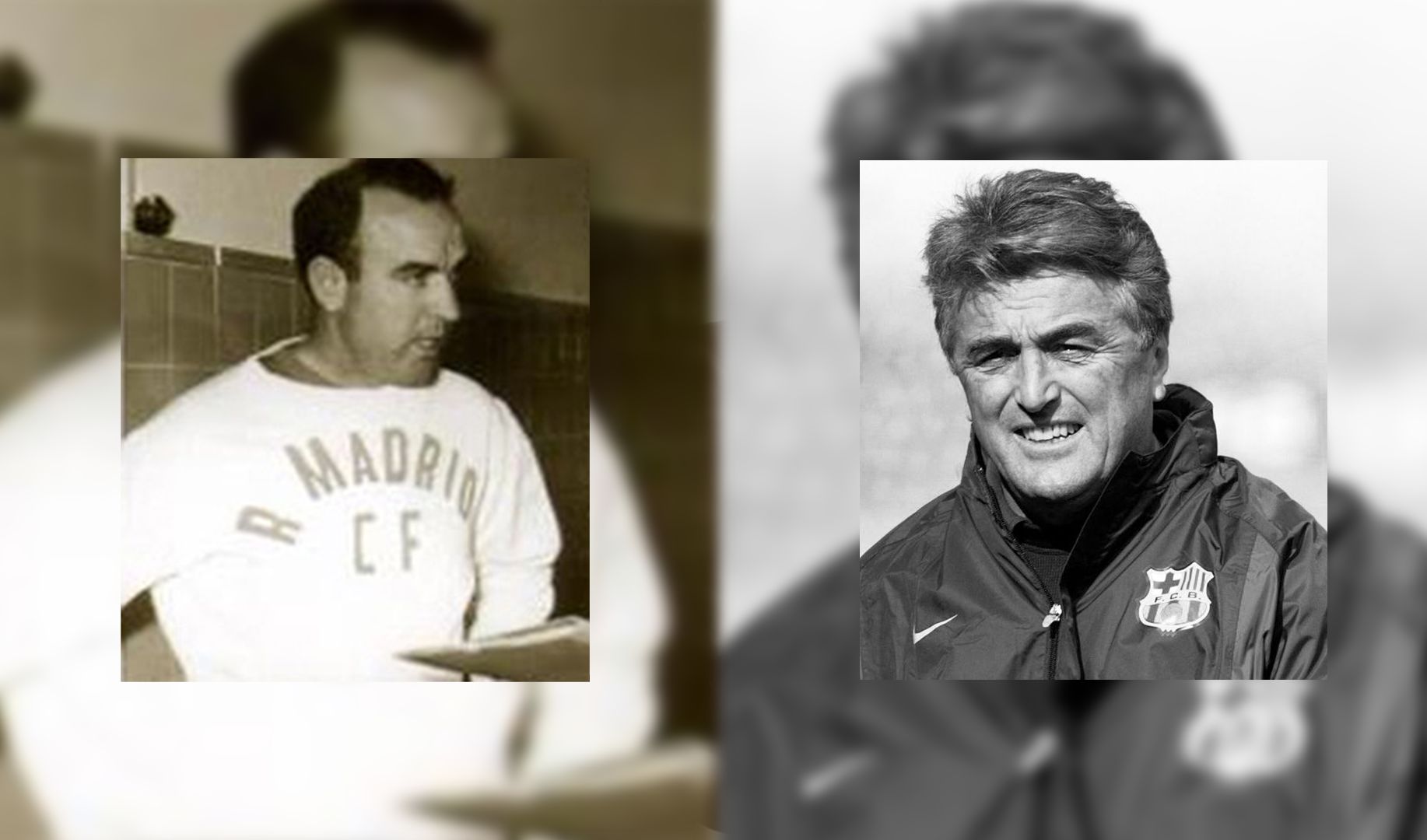 أنتيتش وفايولا