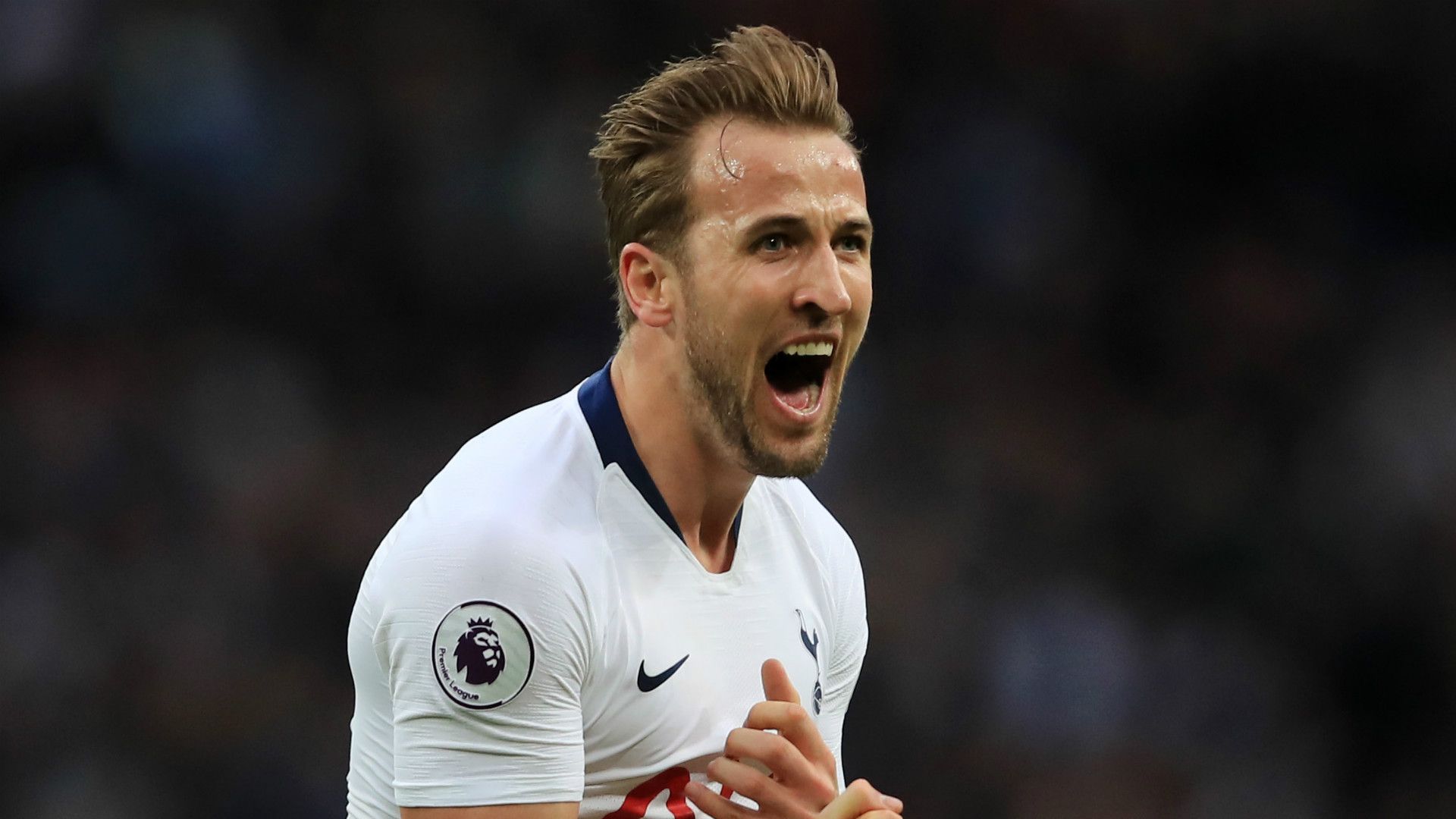 Harry Kane Tottenham 2018-19