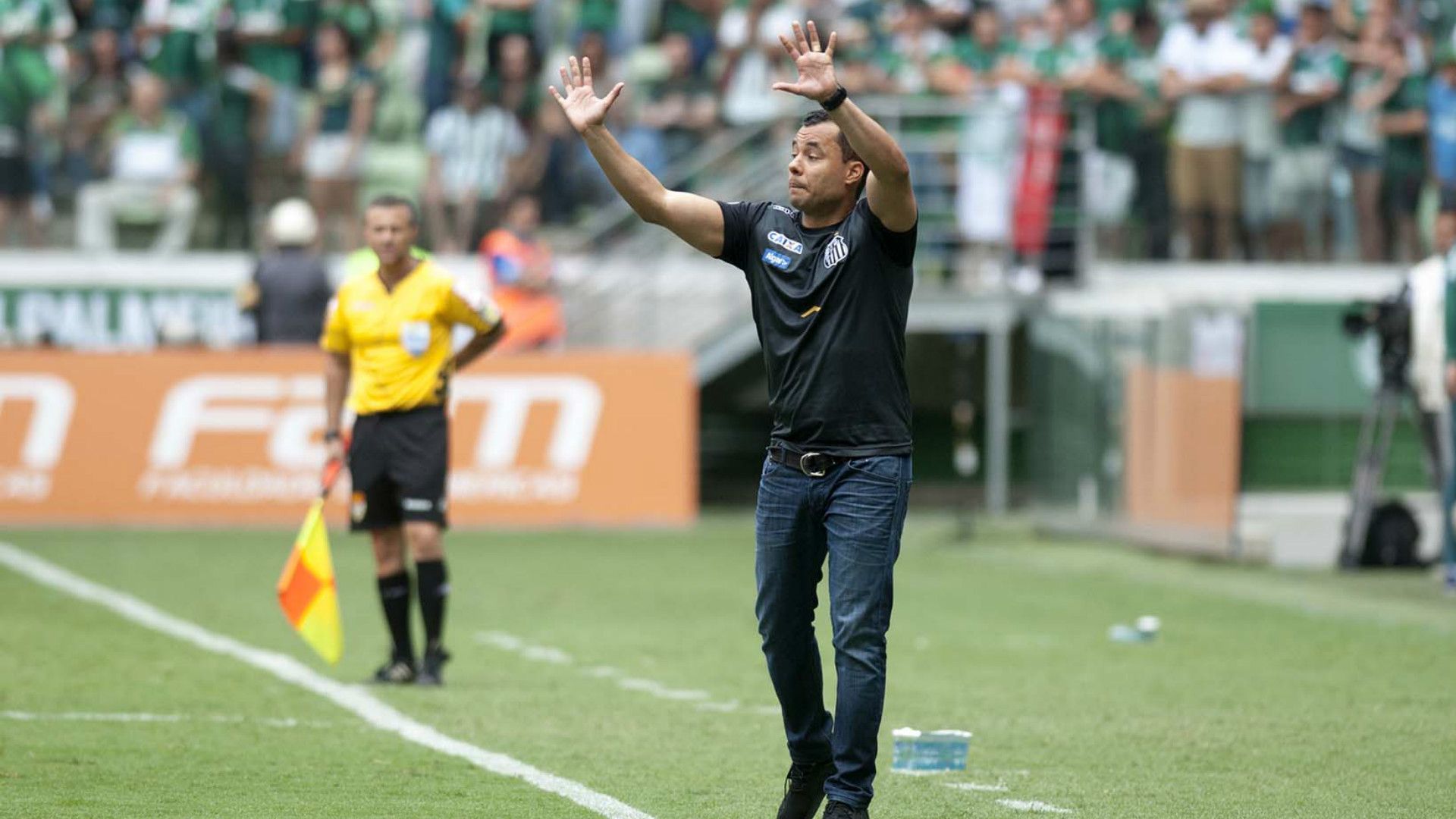 Jair Ventura - Palmeiras x Santos -4/02/2018