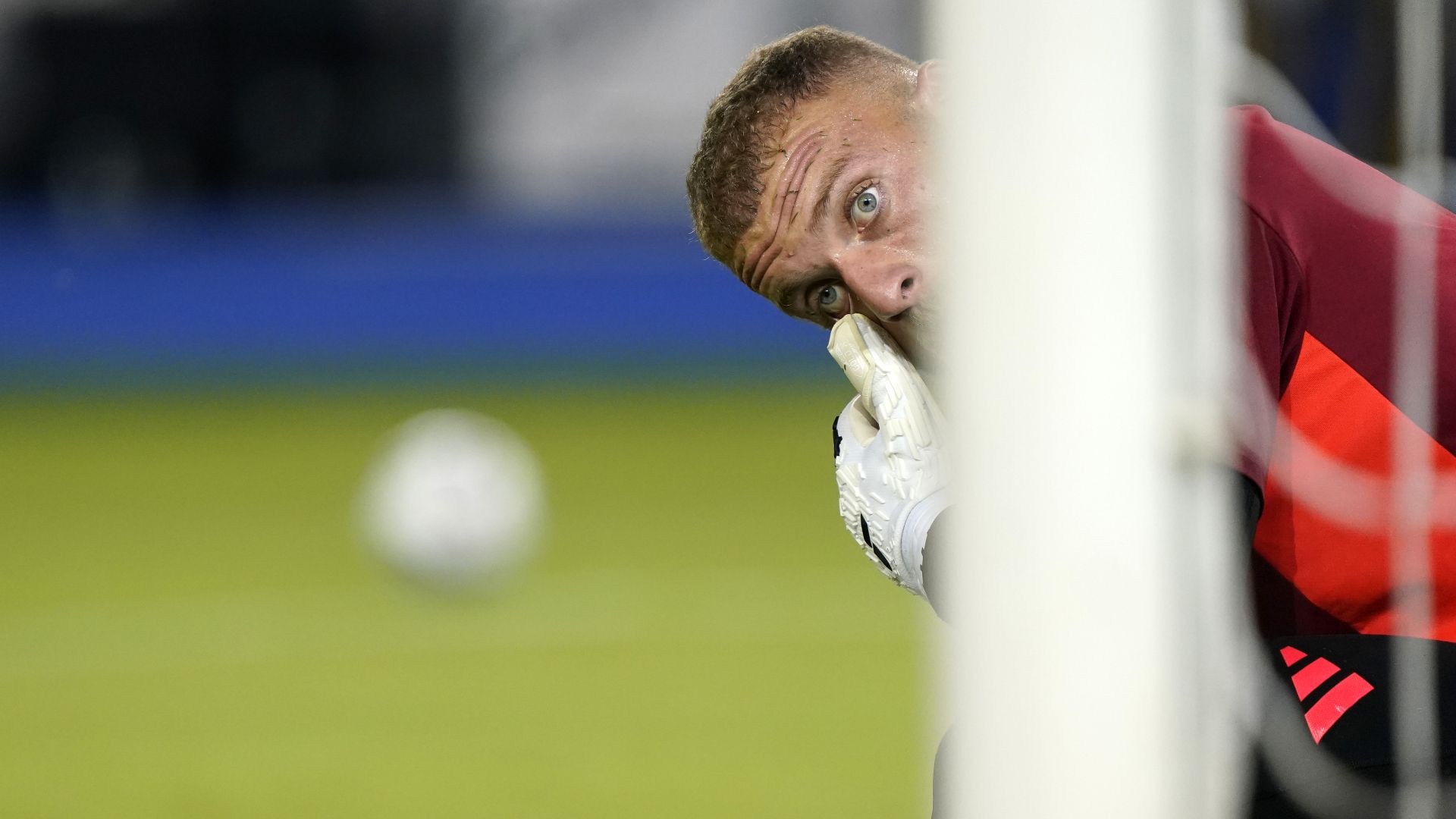 Di Gregorio Juventus