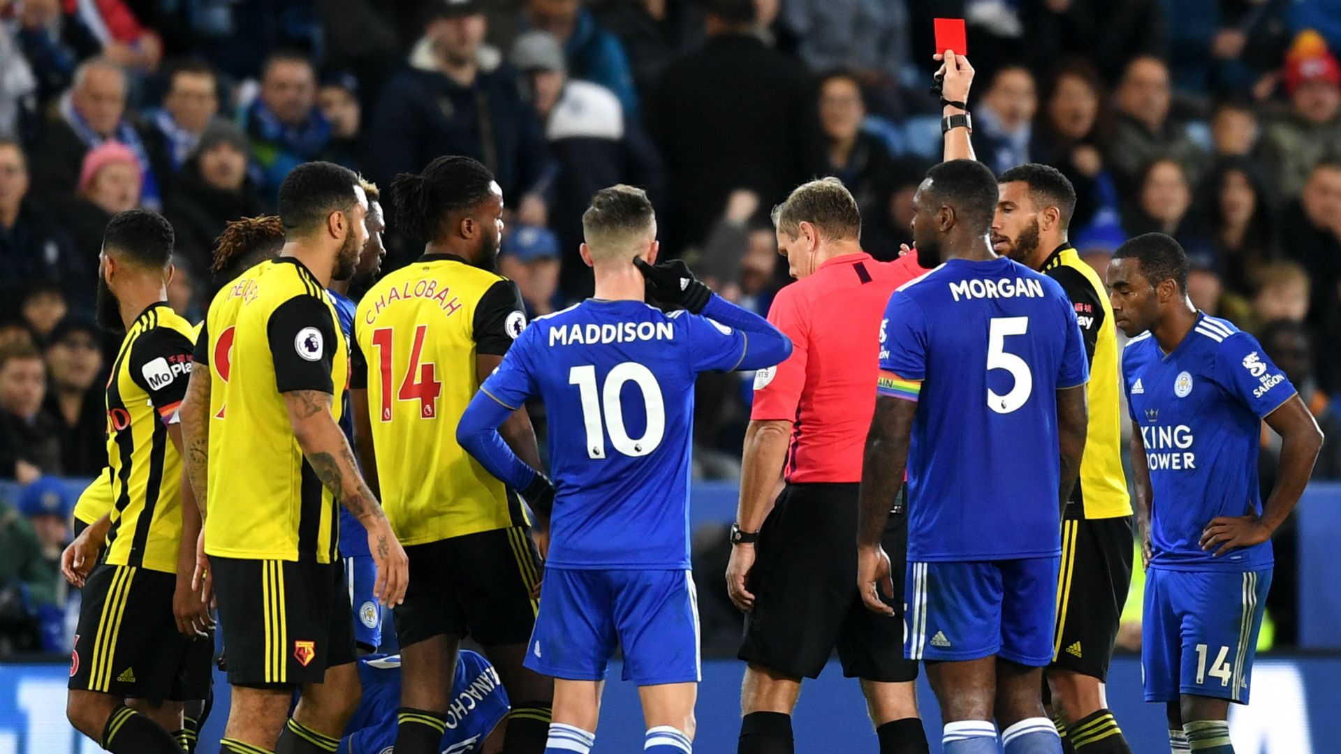 Etienne Capoue, Watford