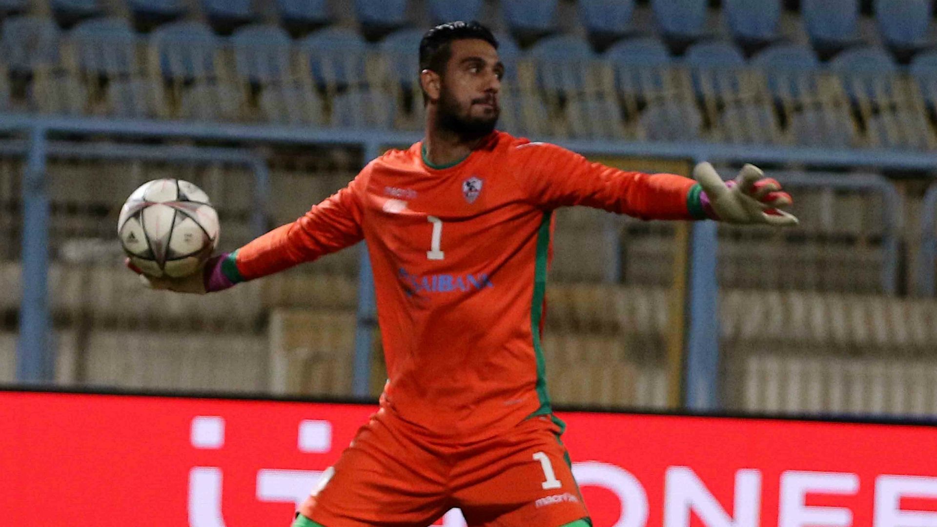 أحمد الشناوي