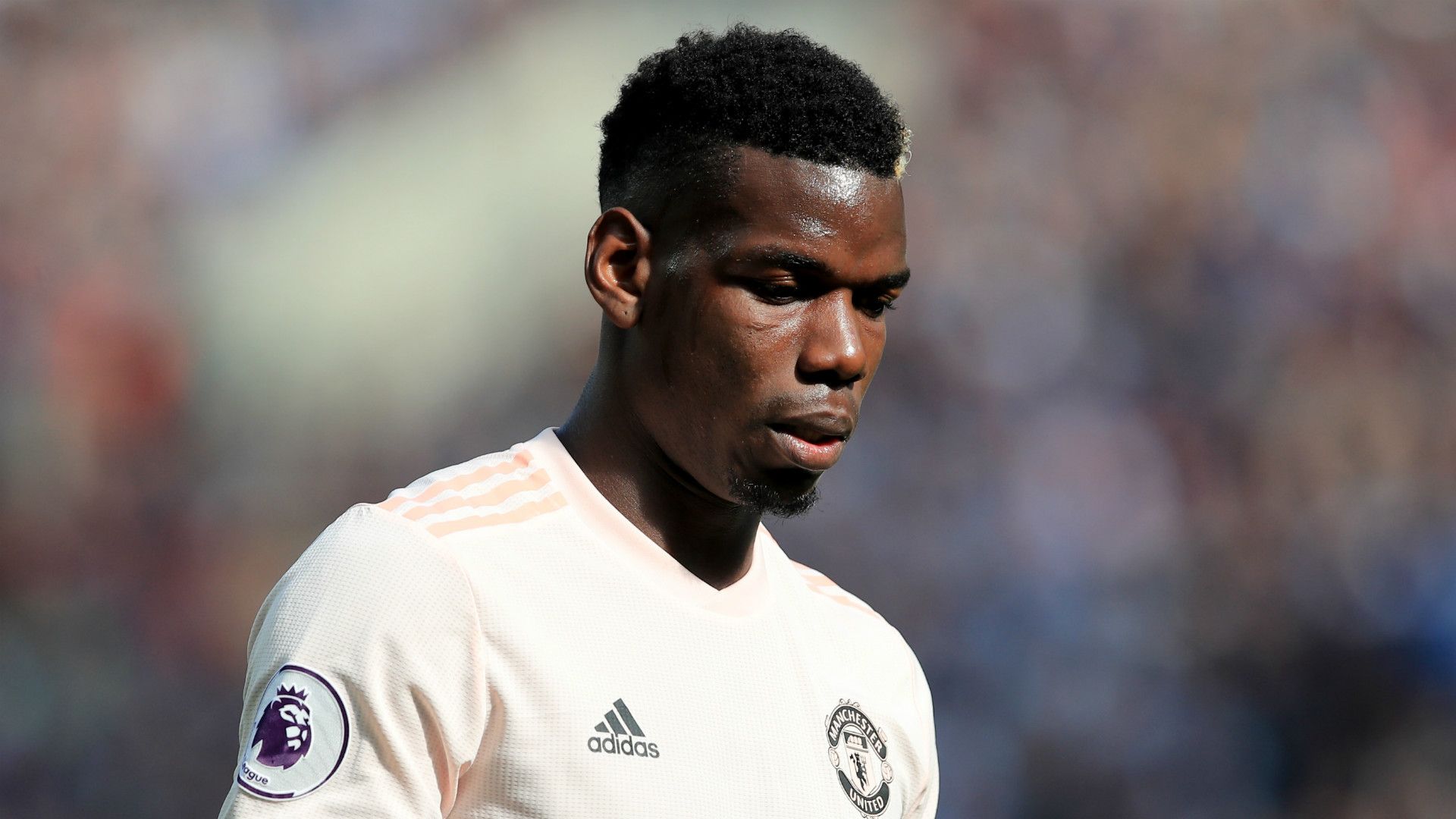 Paul Pogba Manchester United 2018-19