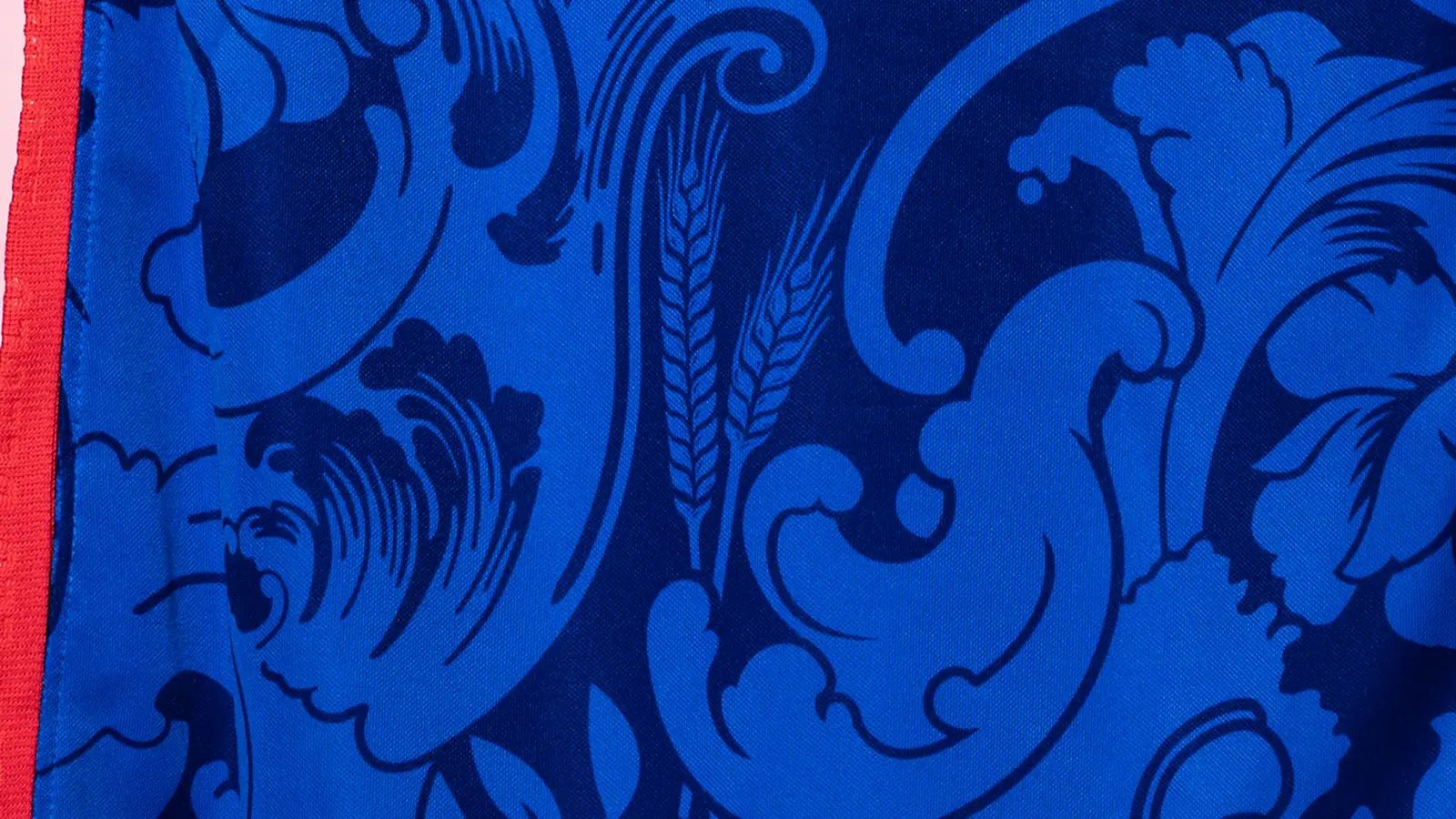 Maillot Equipe de France Euro 2022 Epi de blé