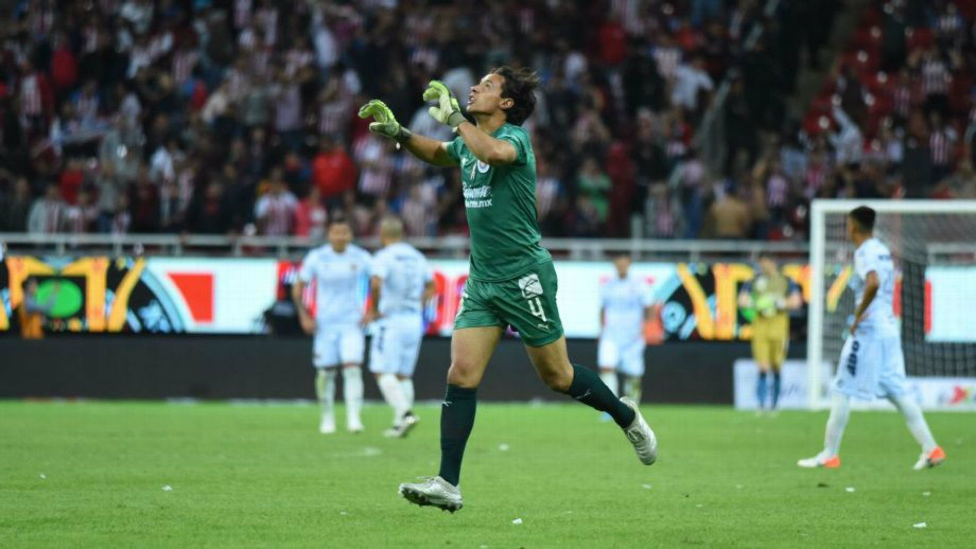 Toño Rodríguez Chivas Veracruz Apertura 2019