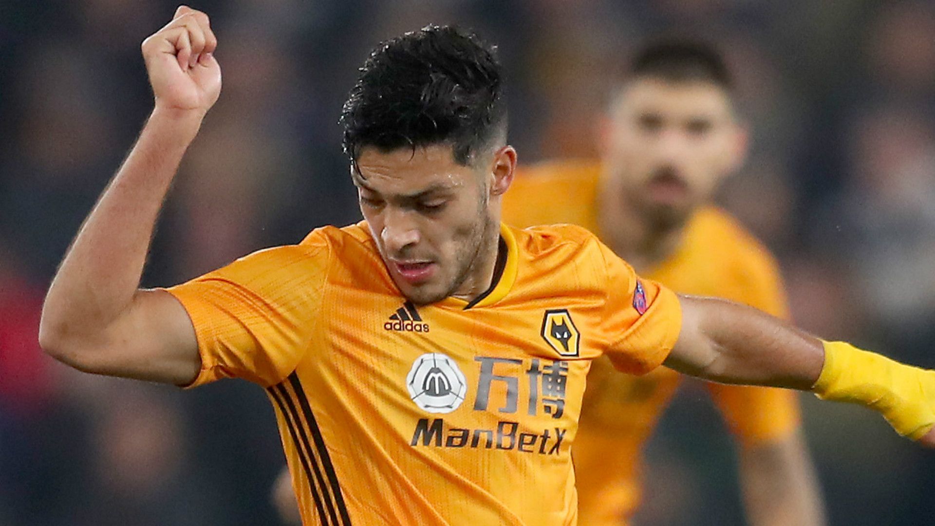 Raul Jimenez Wolves 2019-20