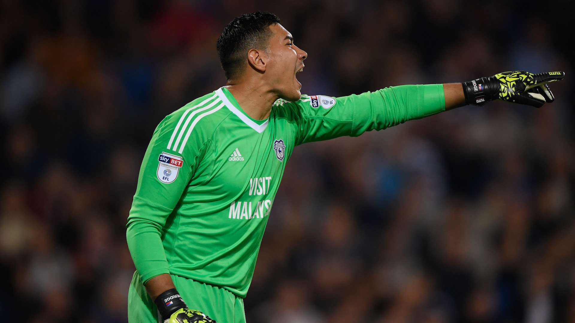 Neil Etheridge - Cardiff City