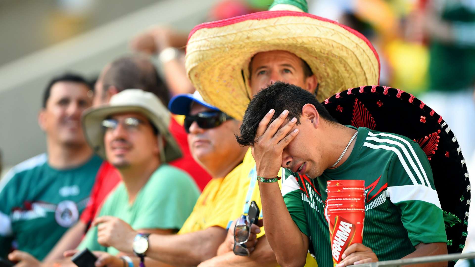 Mexico Fans World Cup 29062014