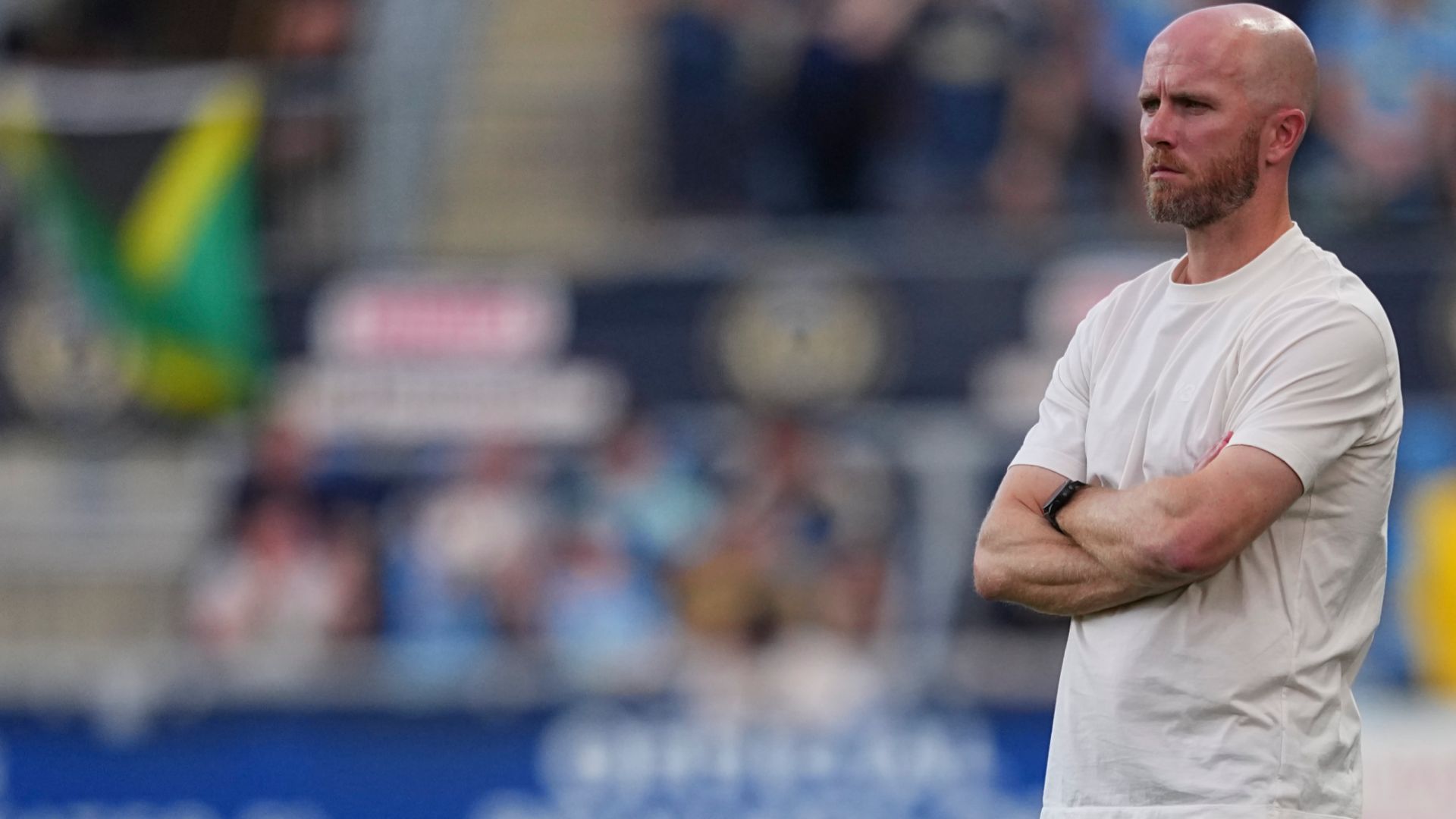 Michael Bradley NYRB