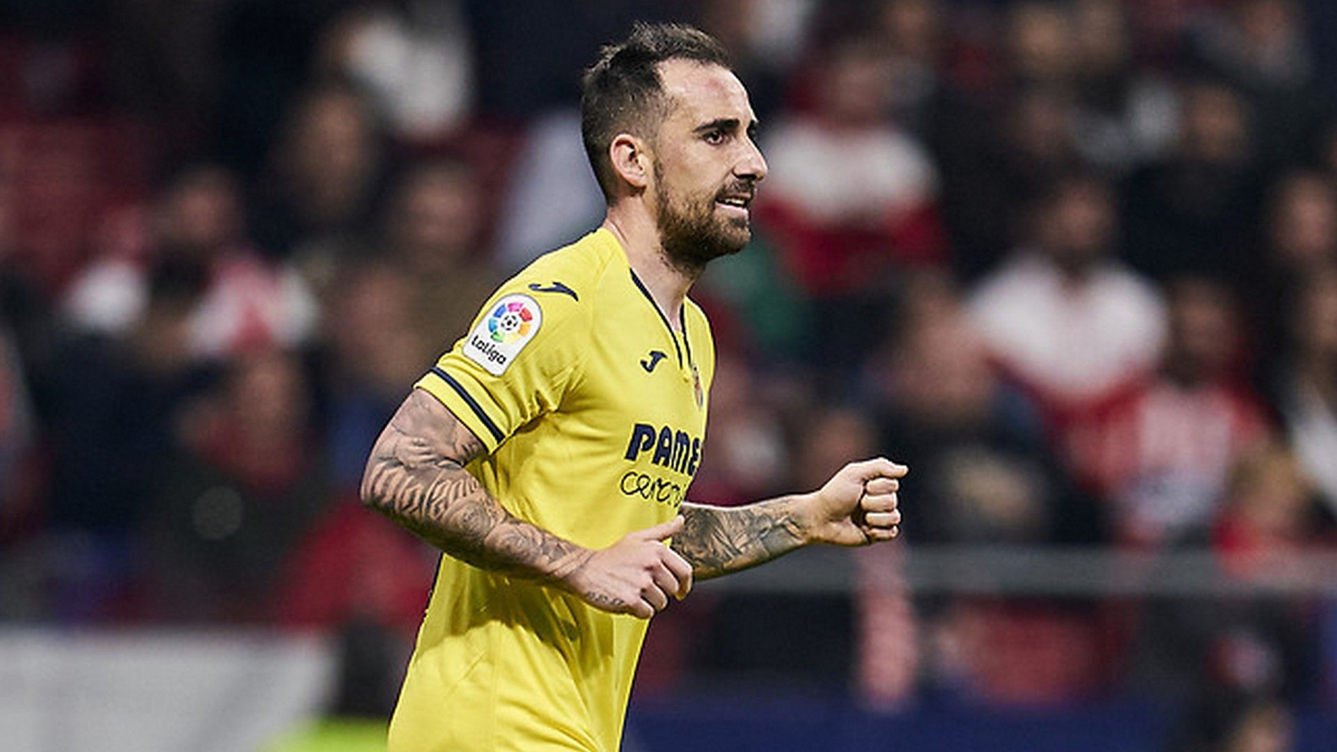 Paco Alcacer Villarreal