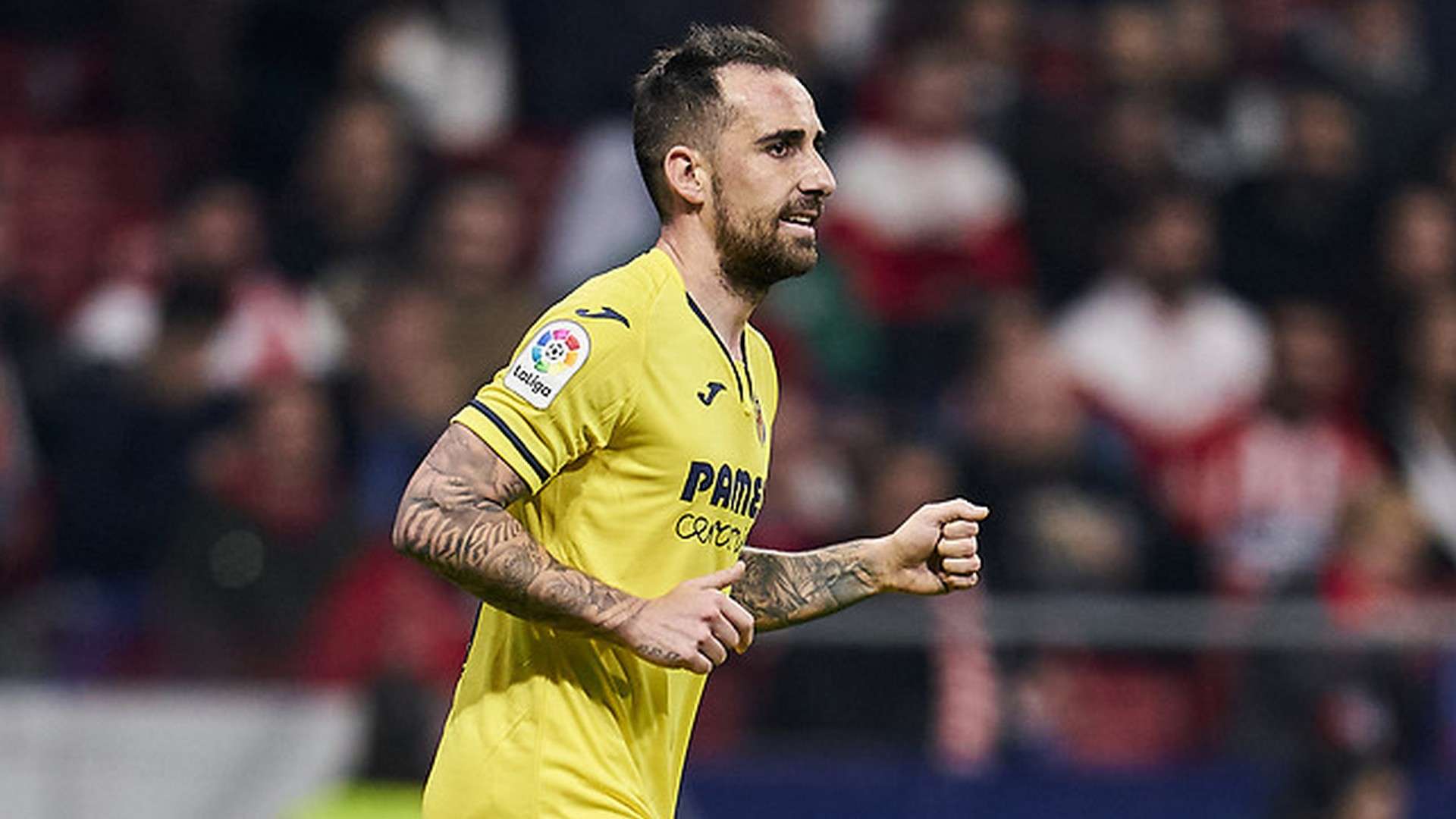 Paco Alcacer Villarreal