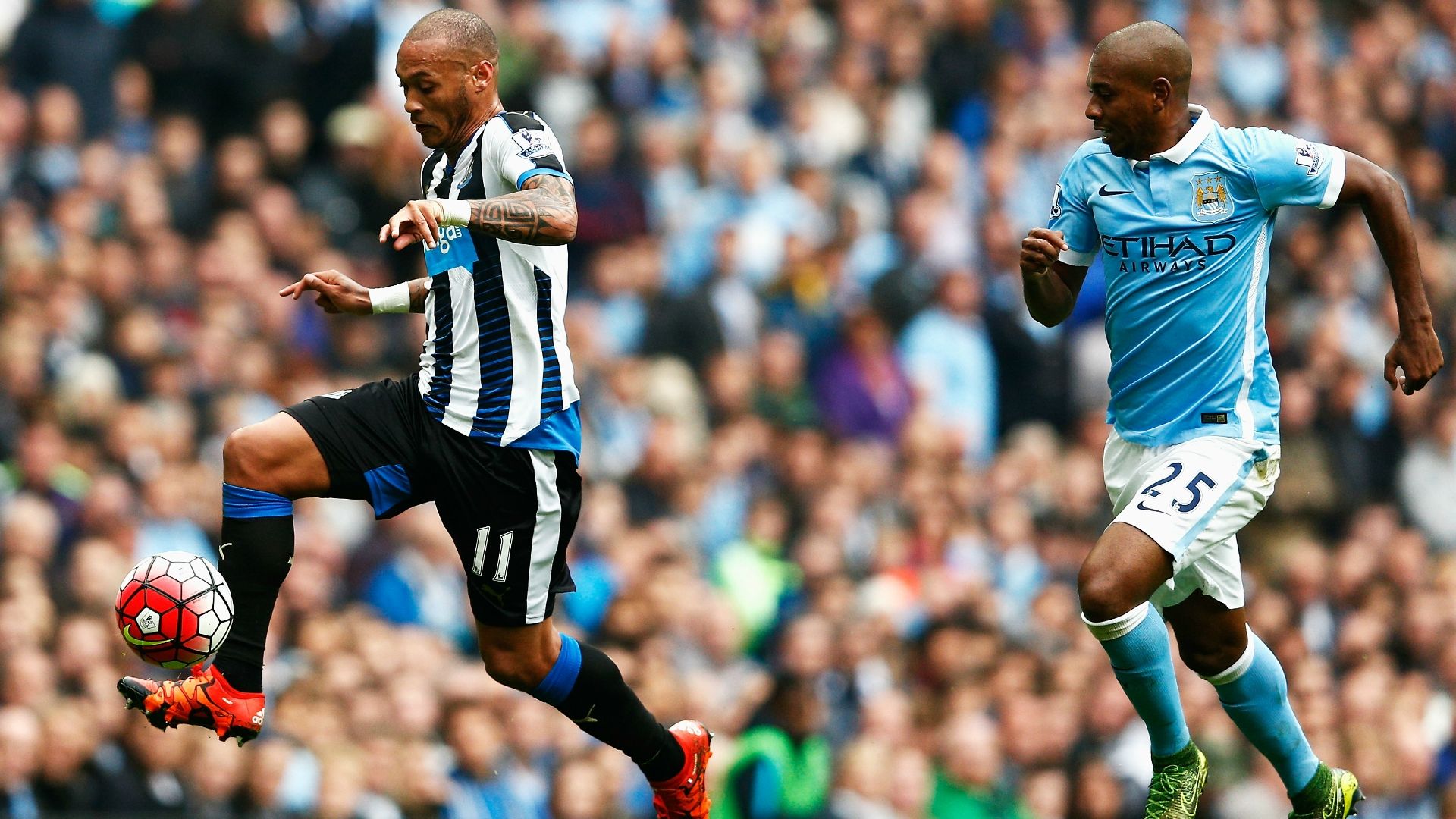 Fernandinho | Manchester City x Newcastle | Premier League 2015/2016 | 03/10/2015
