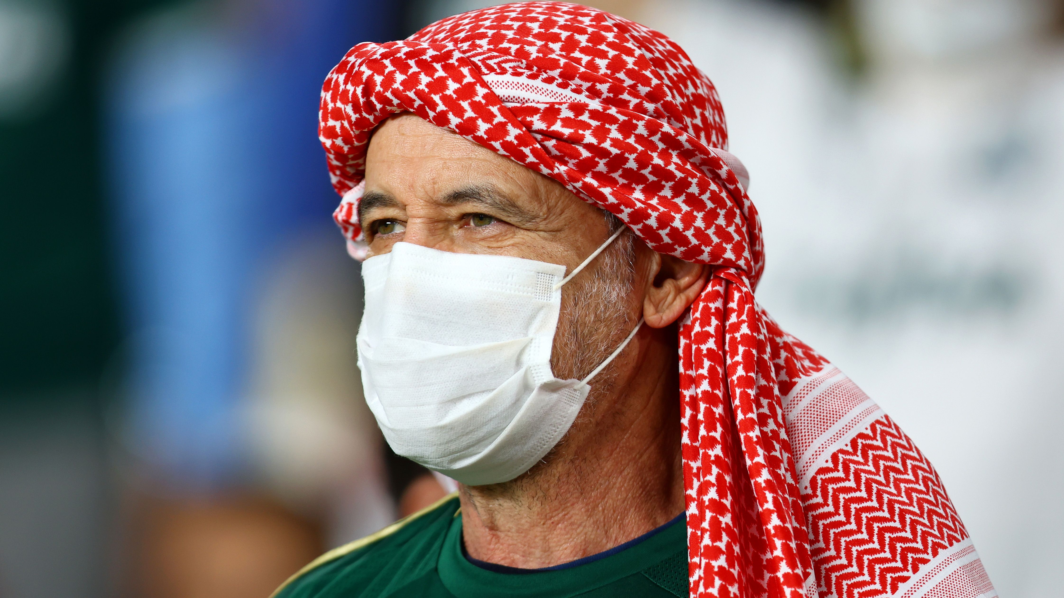 Torcedor do Palmeiras no Mundial