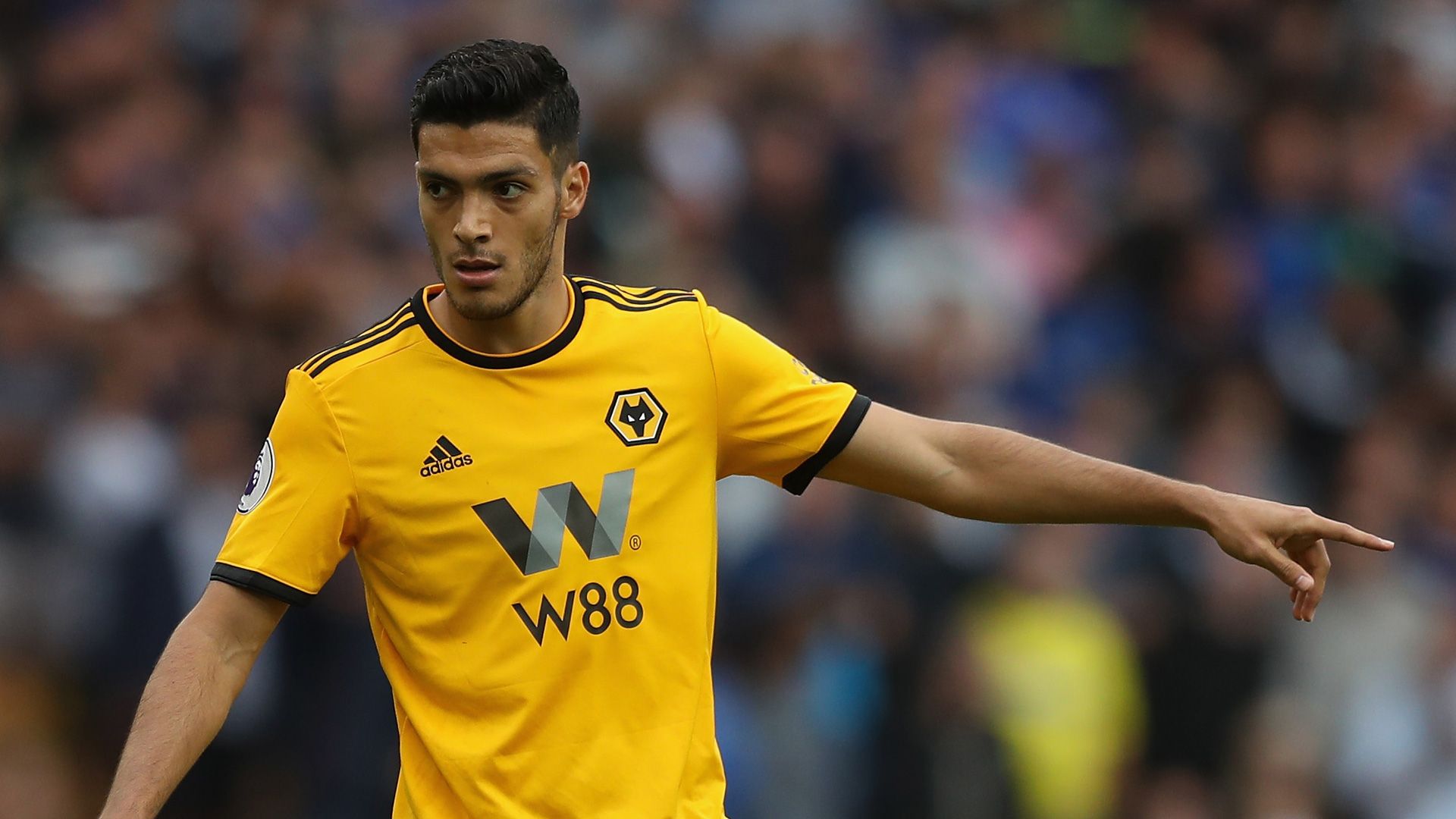 Raul-Jimenez-Wolverhampton
