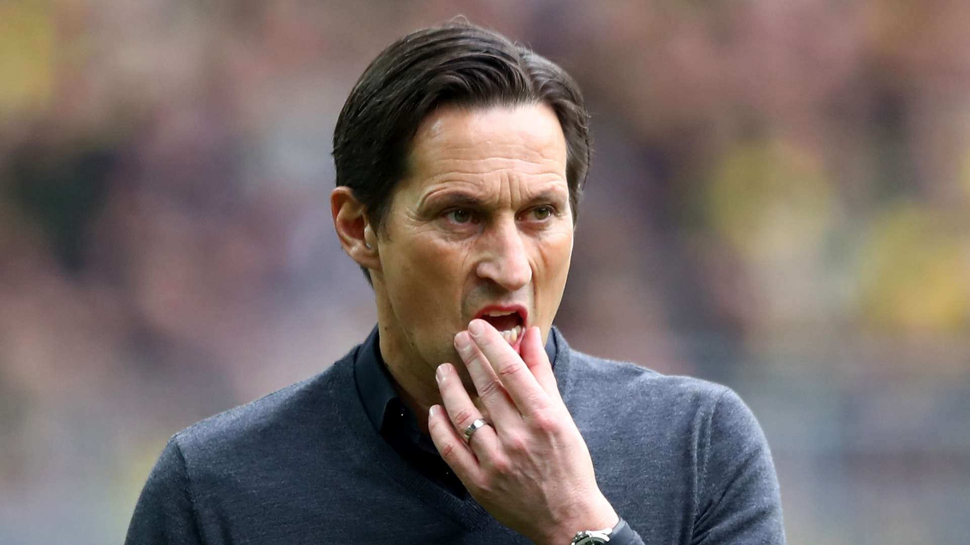 Roger Schmidt 040317