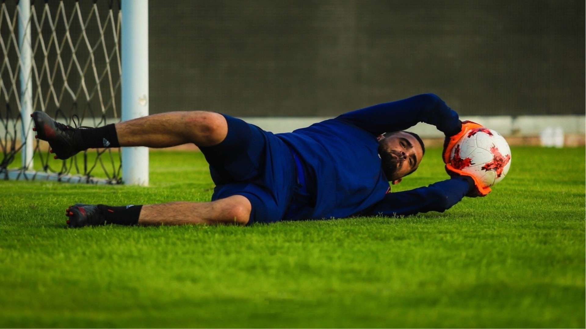 محمد الفرجاني