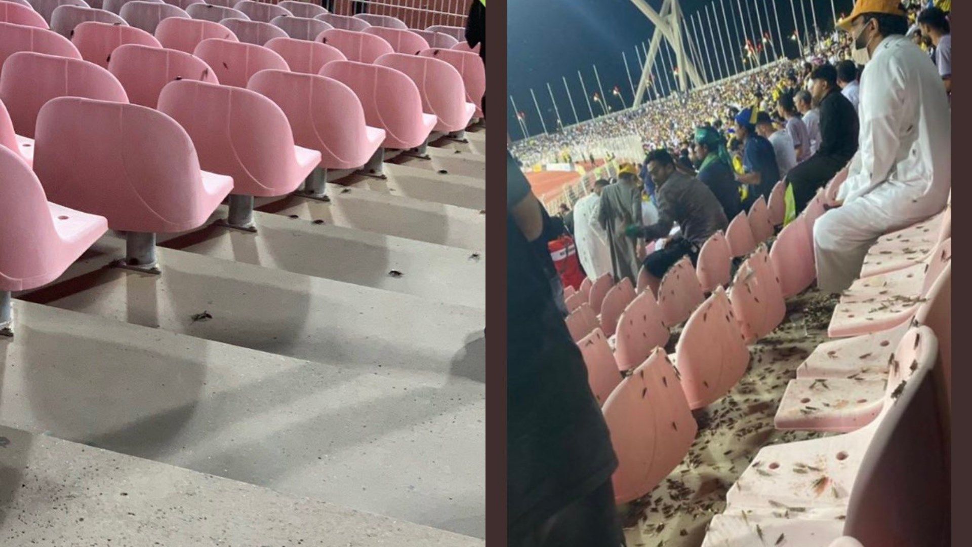 King Abdul Aziz Sport City Stadium Wehda SPL