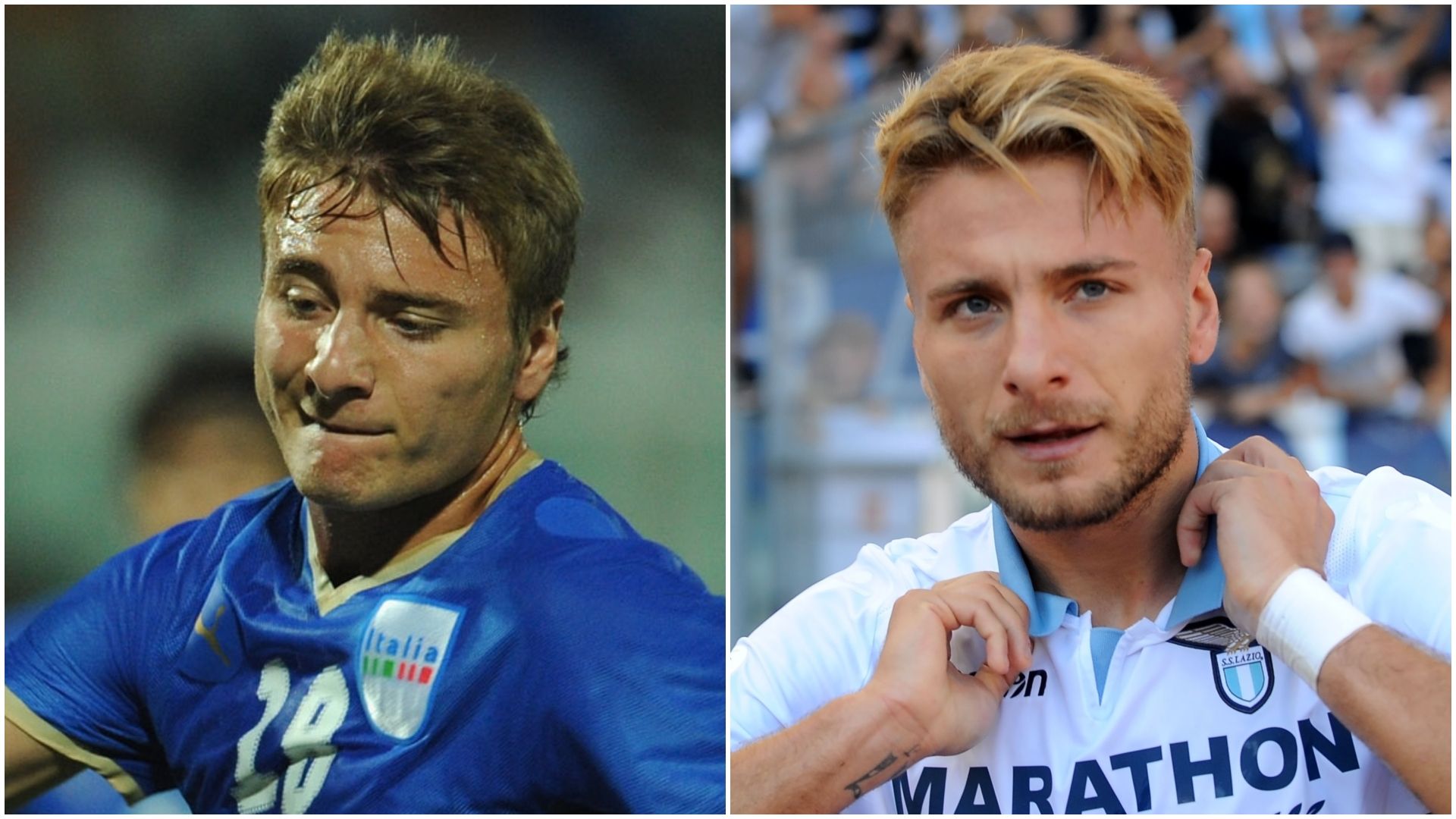 Immobile 2009