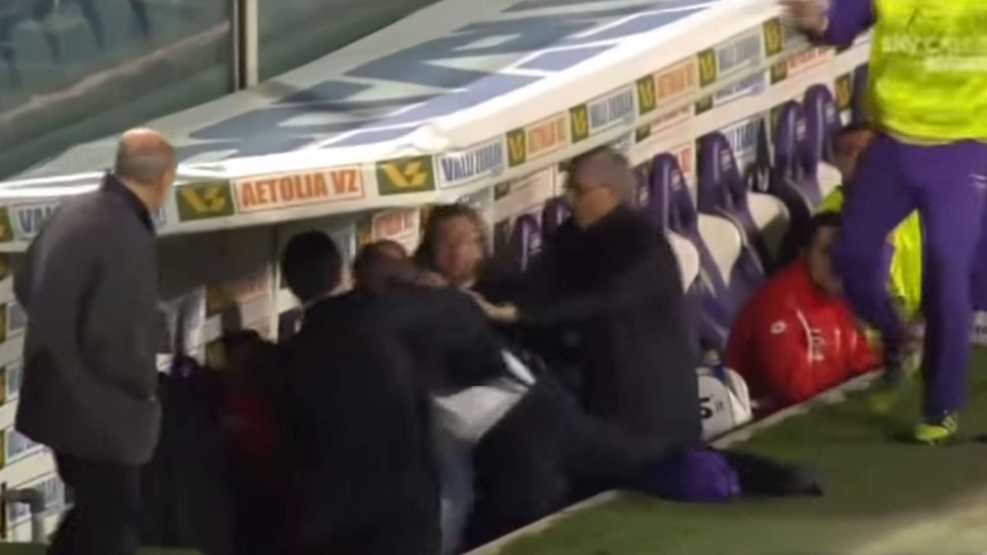 Delio Rossi Adem Ljajic Fiorentina