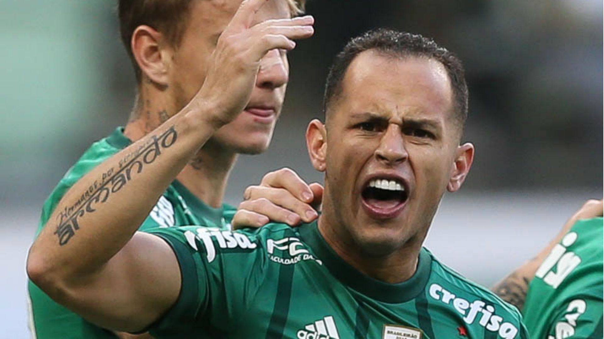 Guerra Palmeiras Fluminense Brasileirão 10 06 2017
